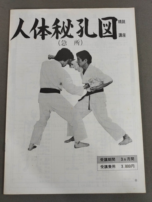 Human Body Secret Hole Diagram (Key Points) Detailed Explanation Course