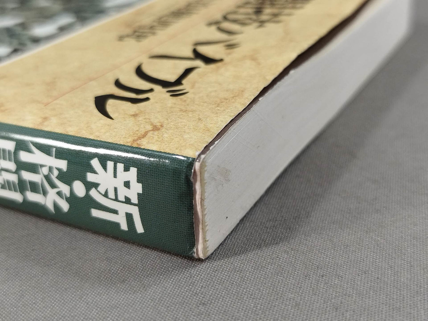 New Martial Arts Bible
