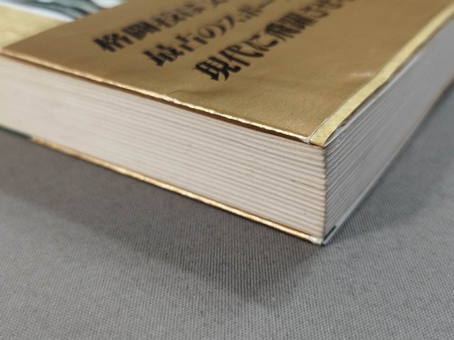 New Martial Arts Bible