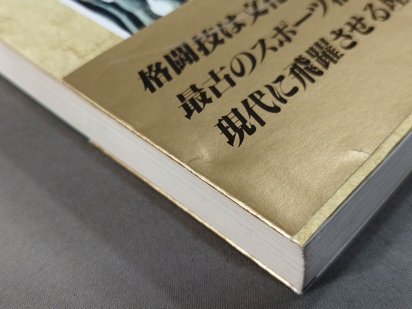 New Martial Arts Bible
