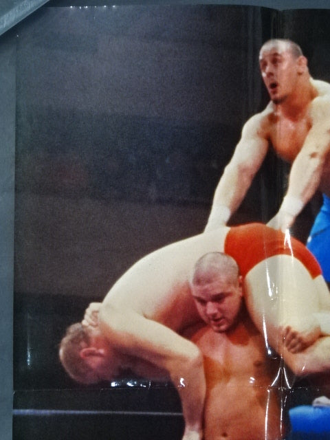 British Bulldogs Posters(1)