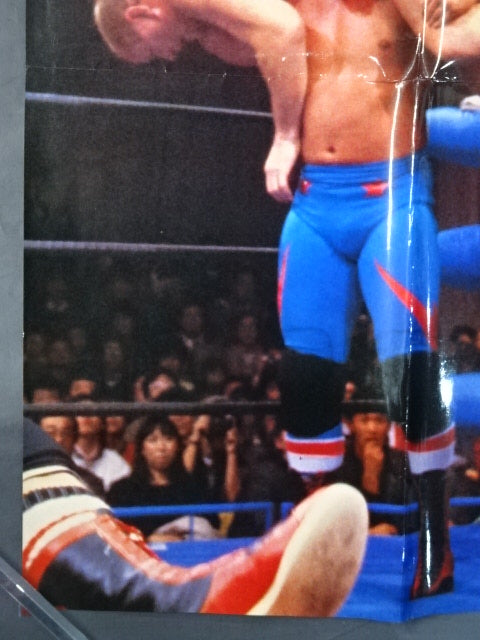 British Bulldogs Posters(1)