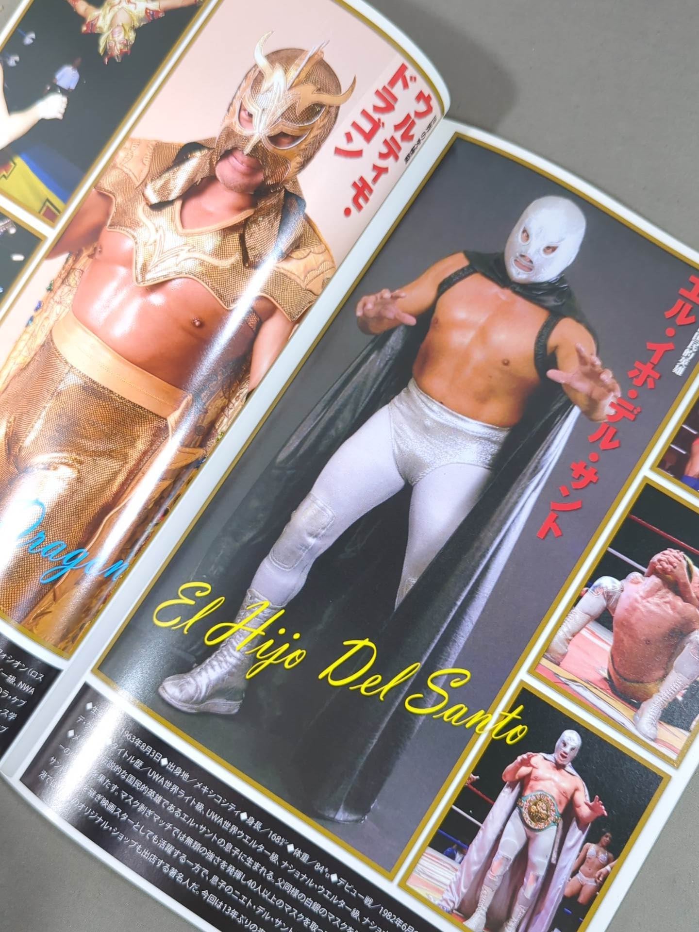 Lucha Libre Estrella Fiesta