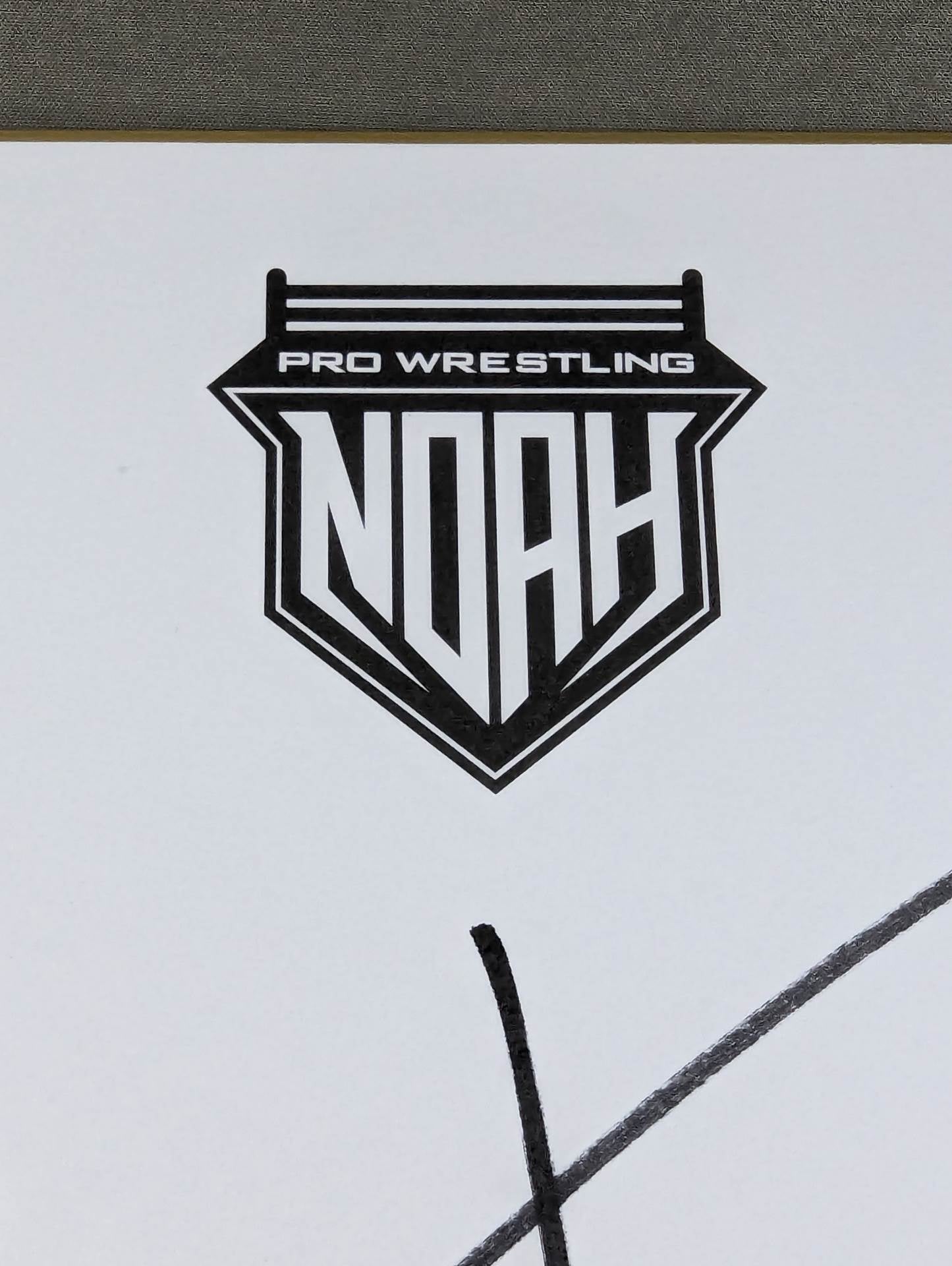 ★TEAM NOAH★ 5選手寄せ書き(NOAH専用色紙)