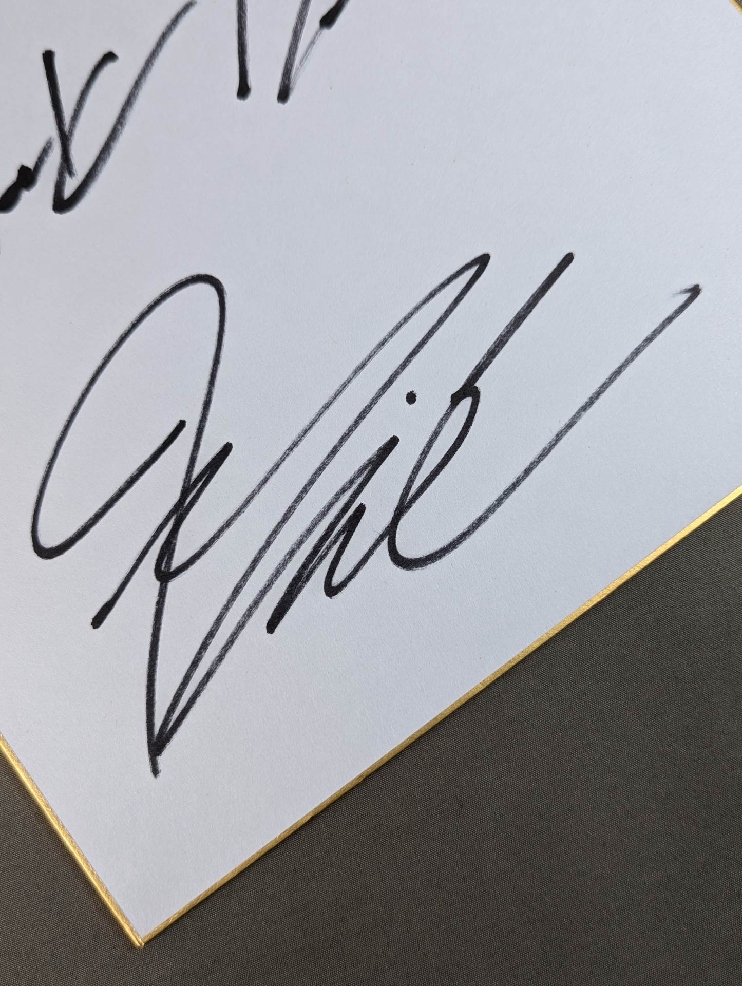 ★ブリスコ・ブラザーズ★ マーク・ブリスコ&ジェイ・ブリスコ(ライオンマーク色紙)