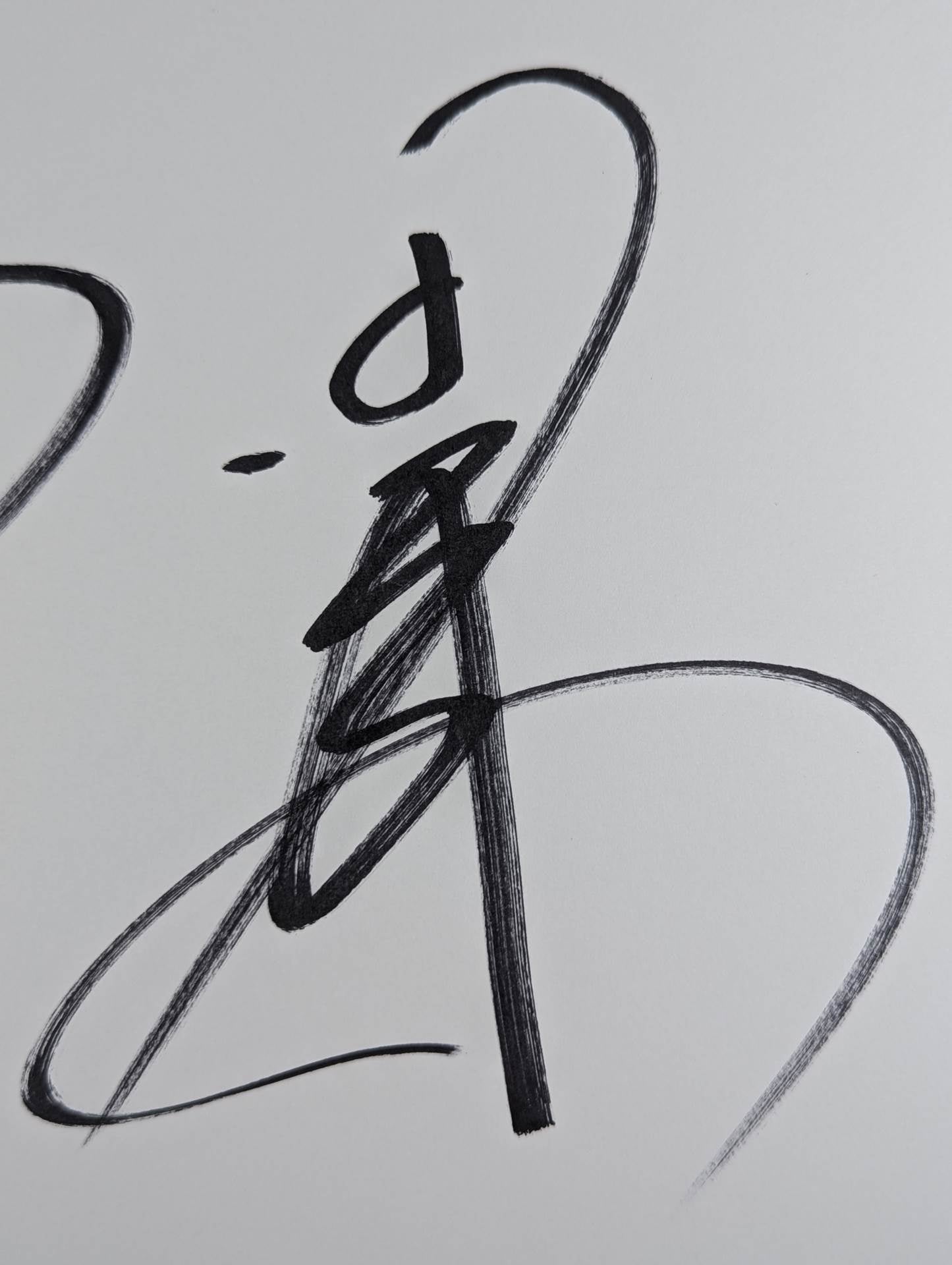 Hiroshi Tanahashi & Ryusuke Taguchi ( Dedicated to the King of Pro-wrestling Shikishi ( Autograph board ) )