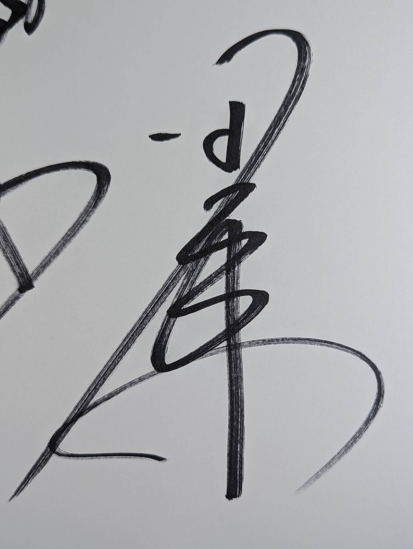 Hiroshi Tanahashi & Ryusuke Taguchi ( Dedicated to the King of Pro-wrestling Shikishi ( Autograph board ) )