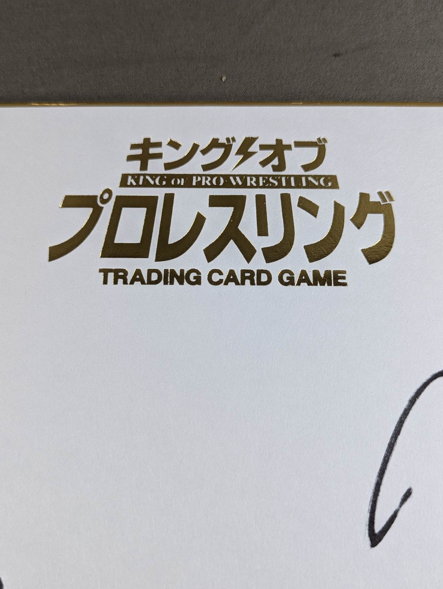 ★ロッポンギ・ヴァイス★ ロッキー・ロメロ&バレッタ(キングオブプロレスリング専用色紙)