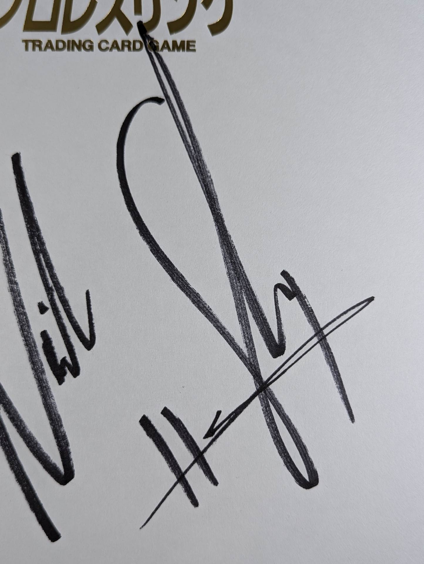 ★TMDK★ Mikey Nicholls & Shane Haste (King of Pro-wrestling) Dedicated Shikishi ( Autograph board )