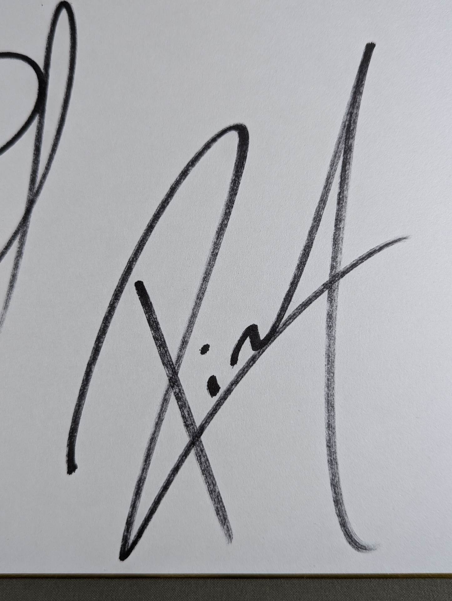 Matt Sidal & Ricochet (King of Pro-wrestling only) Shikishi ( Autograph board ) )