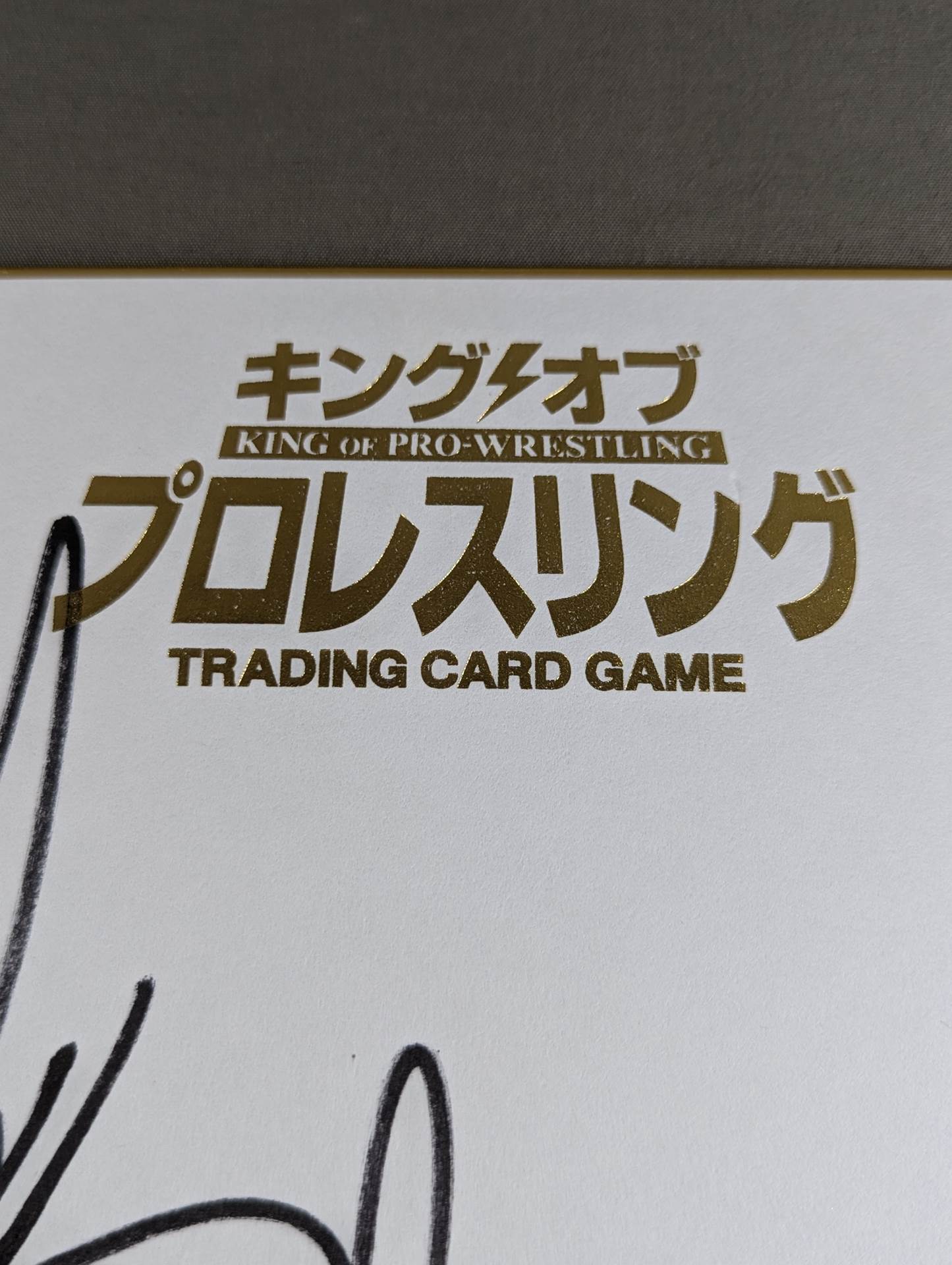 マット・サイダル&リコシェ(キングオブプロレスリング専用色紙)