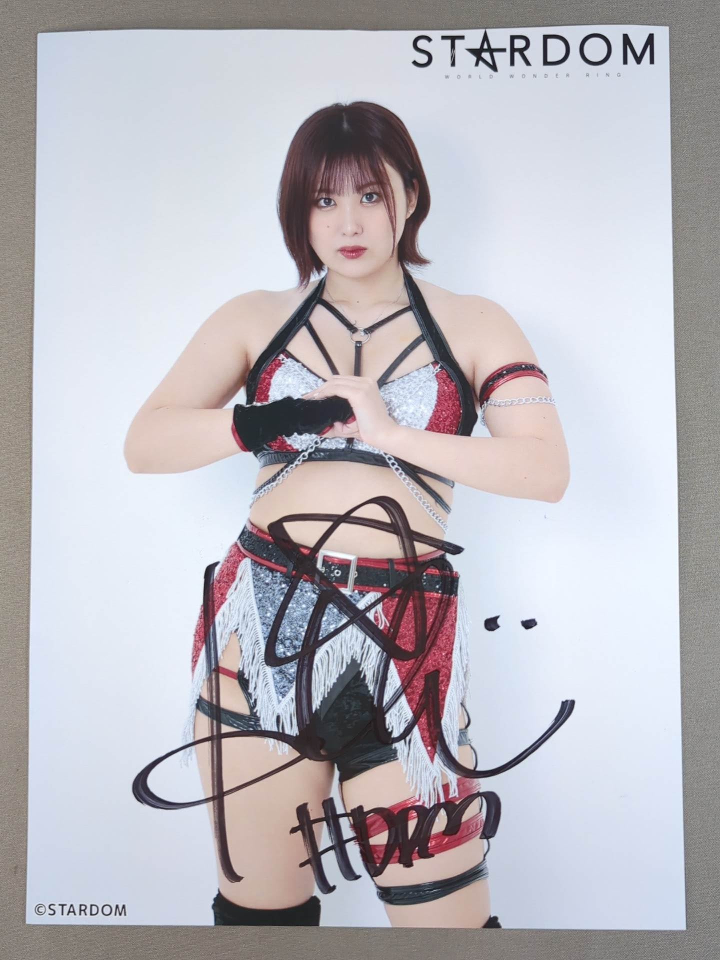ひめか 直筆サイン入り ポートレート② – 闘道館