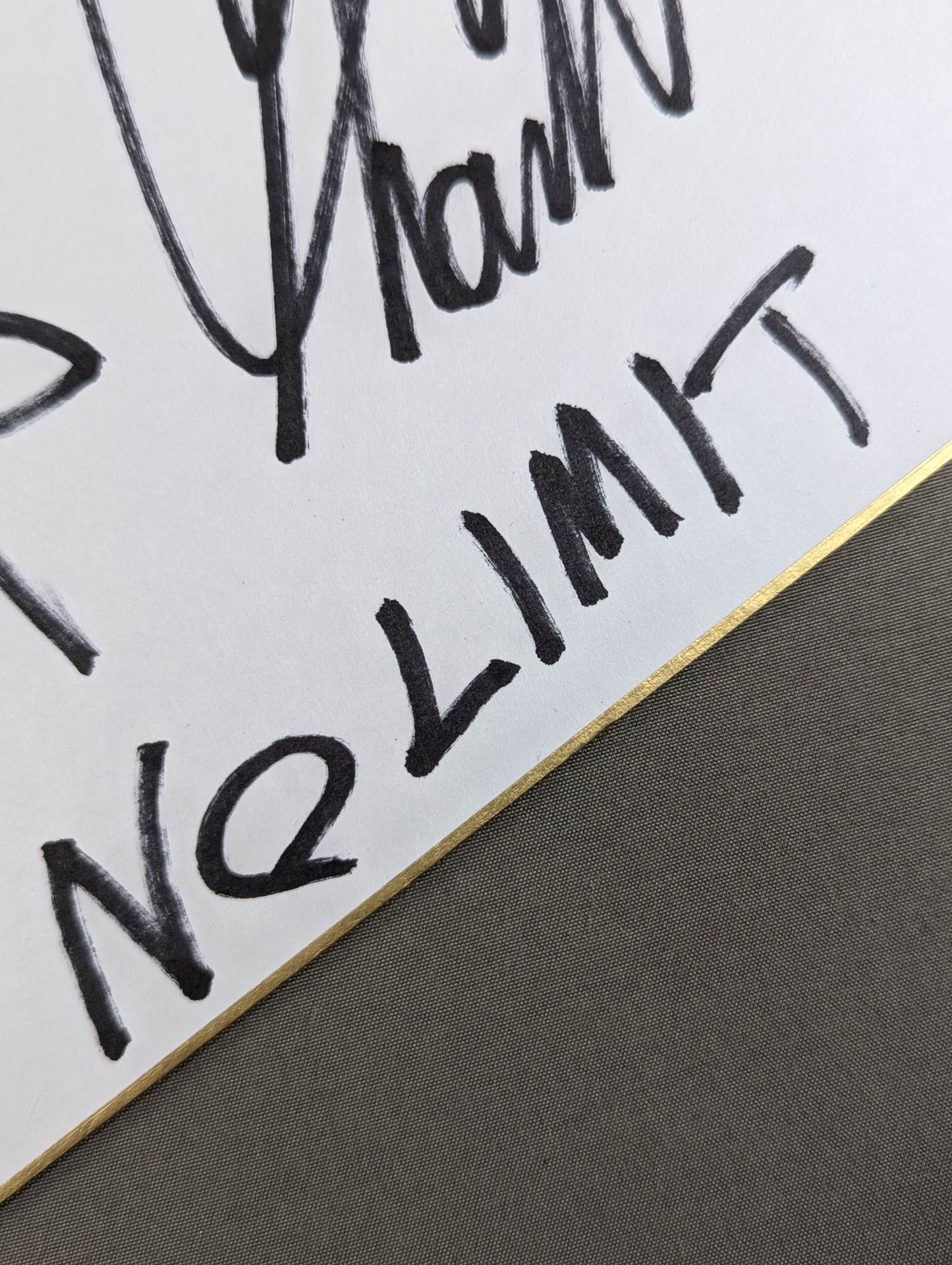 ★NO LIMIT★ 内藤哲也&高橋裕二郎(ライオンマーク色紙)