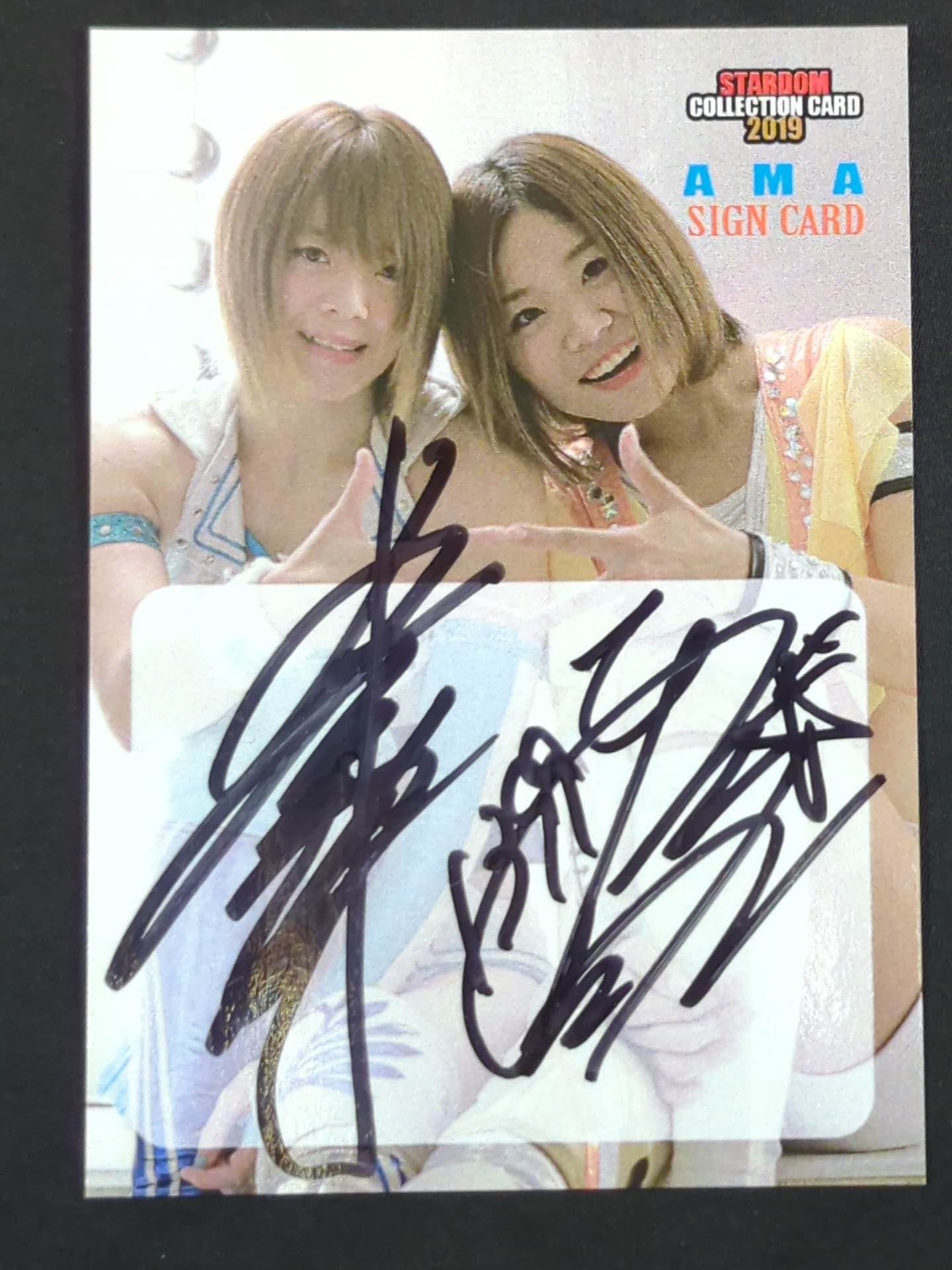 経典 2019 STARDOM 公式サイン 岩谷麻優＆星輝ありさ CARD COLLECTION スポーツ選手