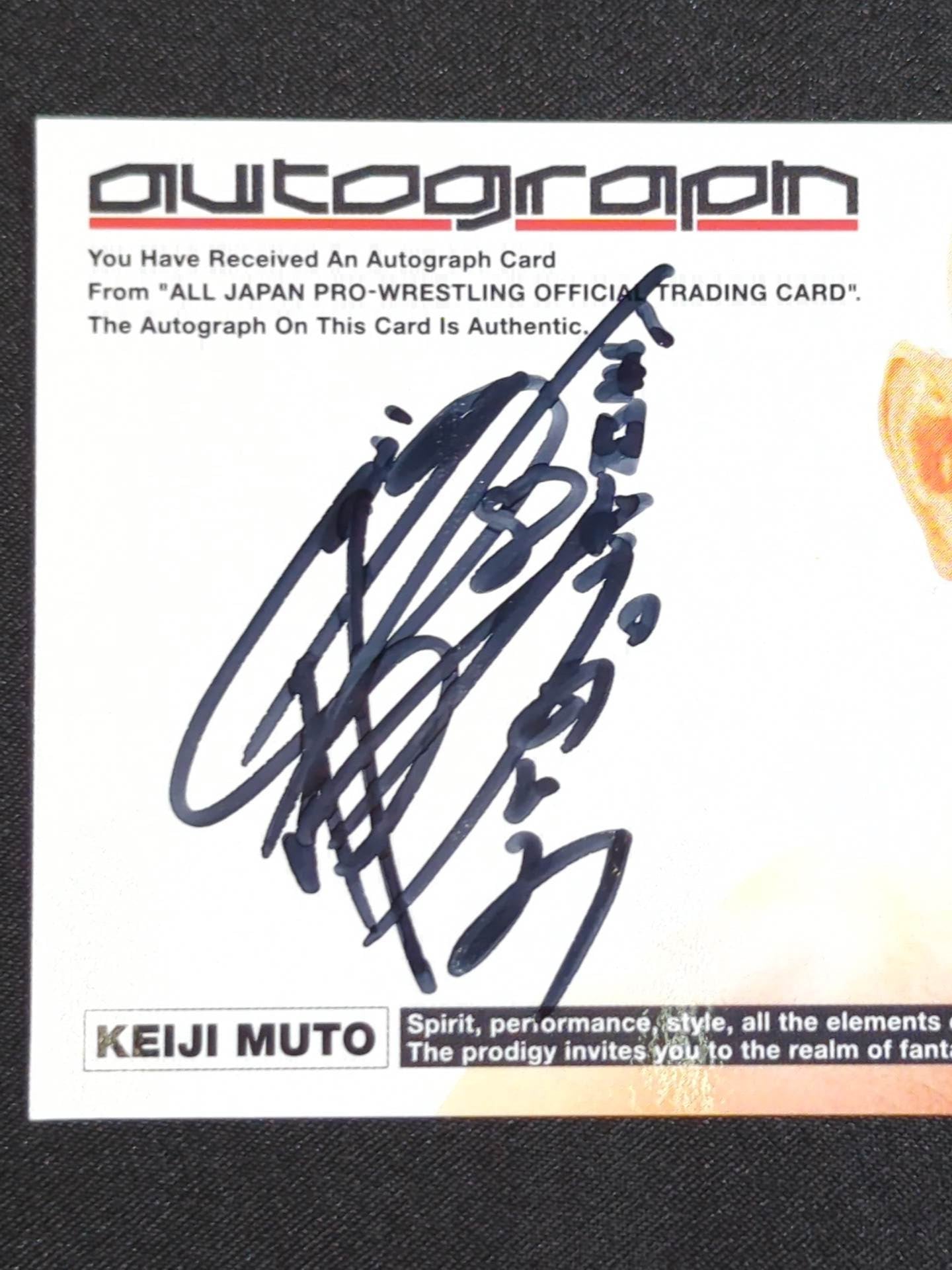 2003 ネクスト 全日本プロレス王道 武藤敬司 公式サインカード