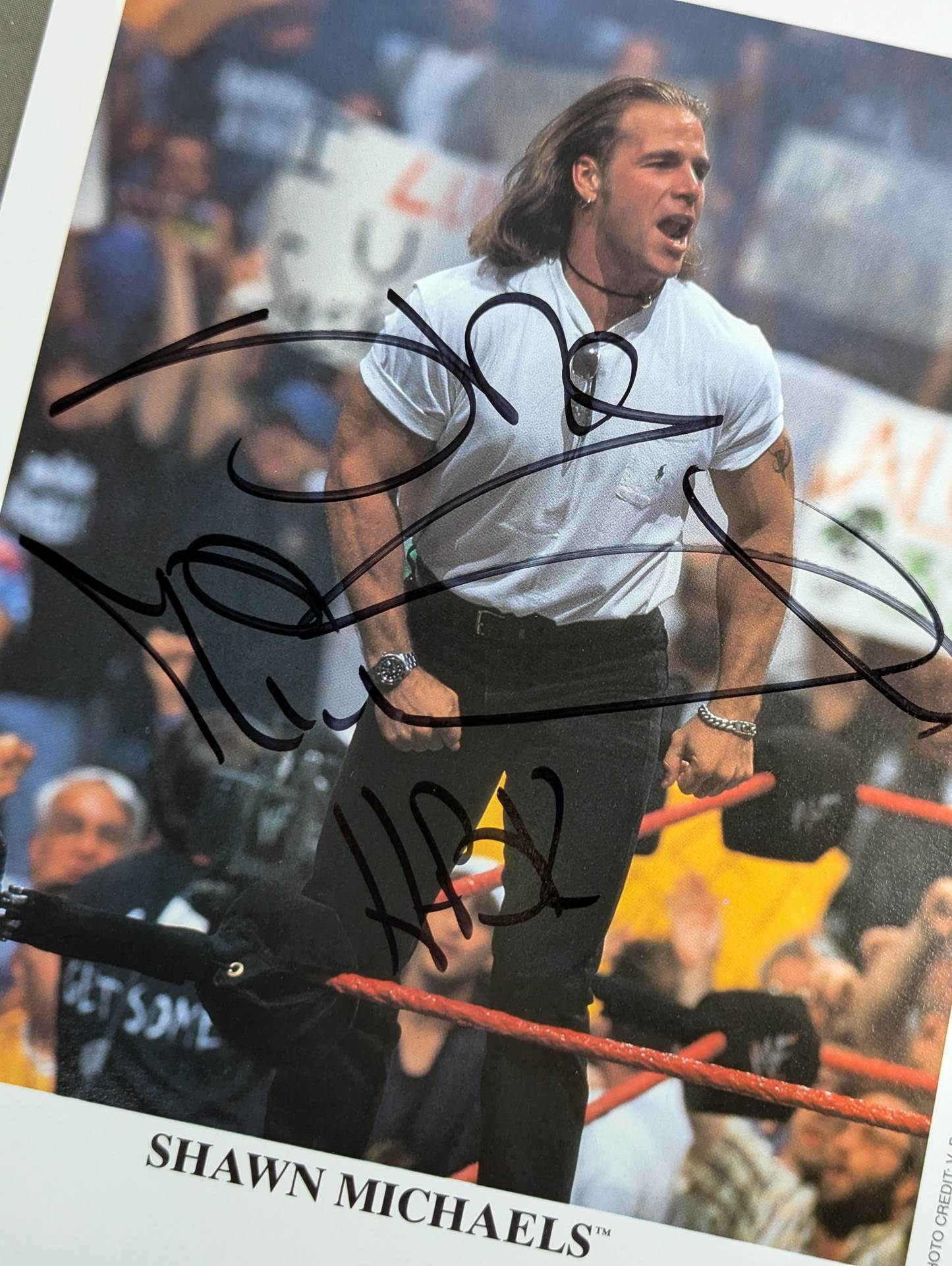 Shawn Michaels hand signed autograph WWF Official Pro-Photo