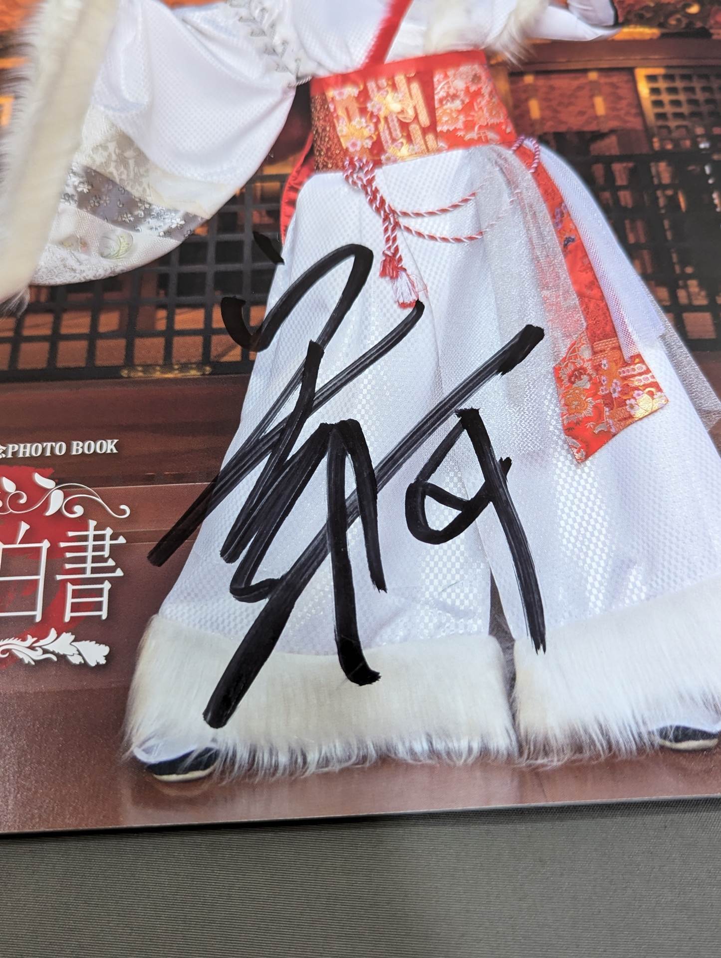 【hand signed autograph】 Akuto Yasukawa Retirement Celebration PHOTO BOOK 惡斗白書