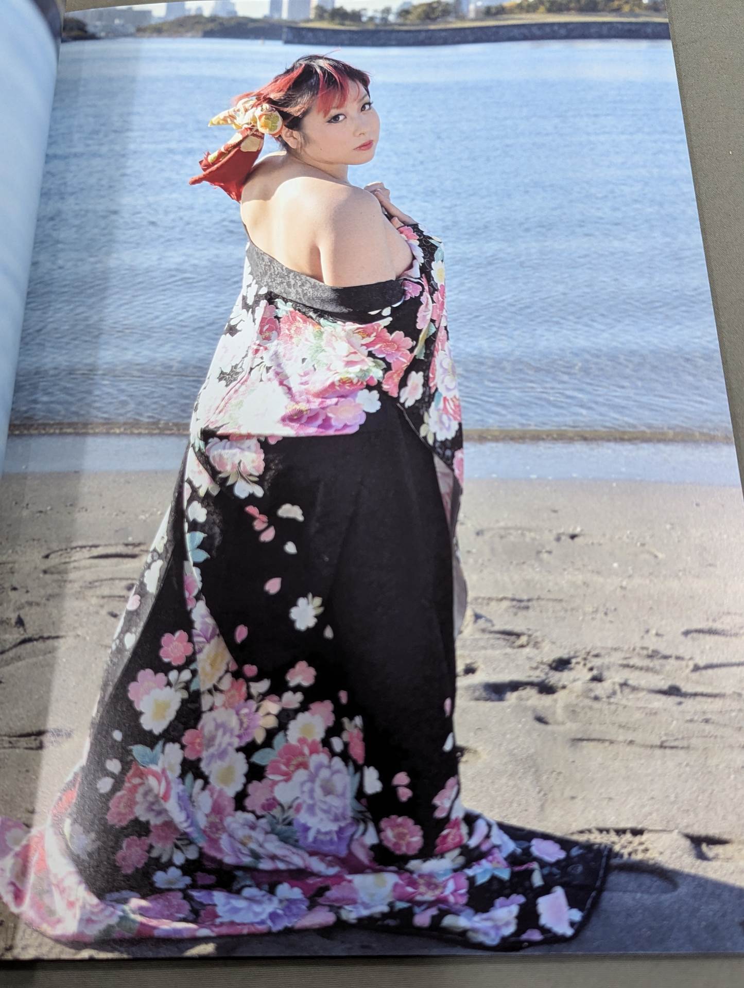 【hand signed autograph】 Akuto Yasukawa Retirement Celebration PHOTO BOOK 惡斗白書