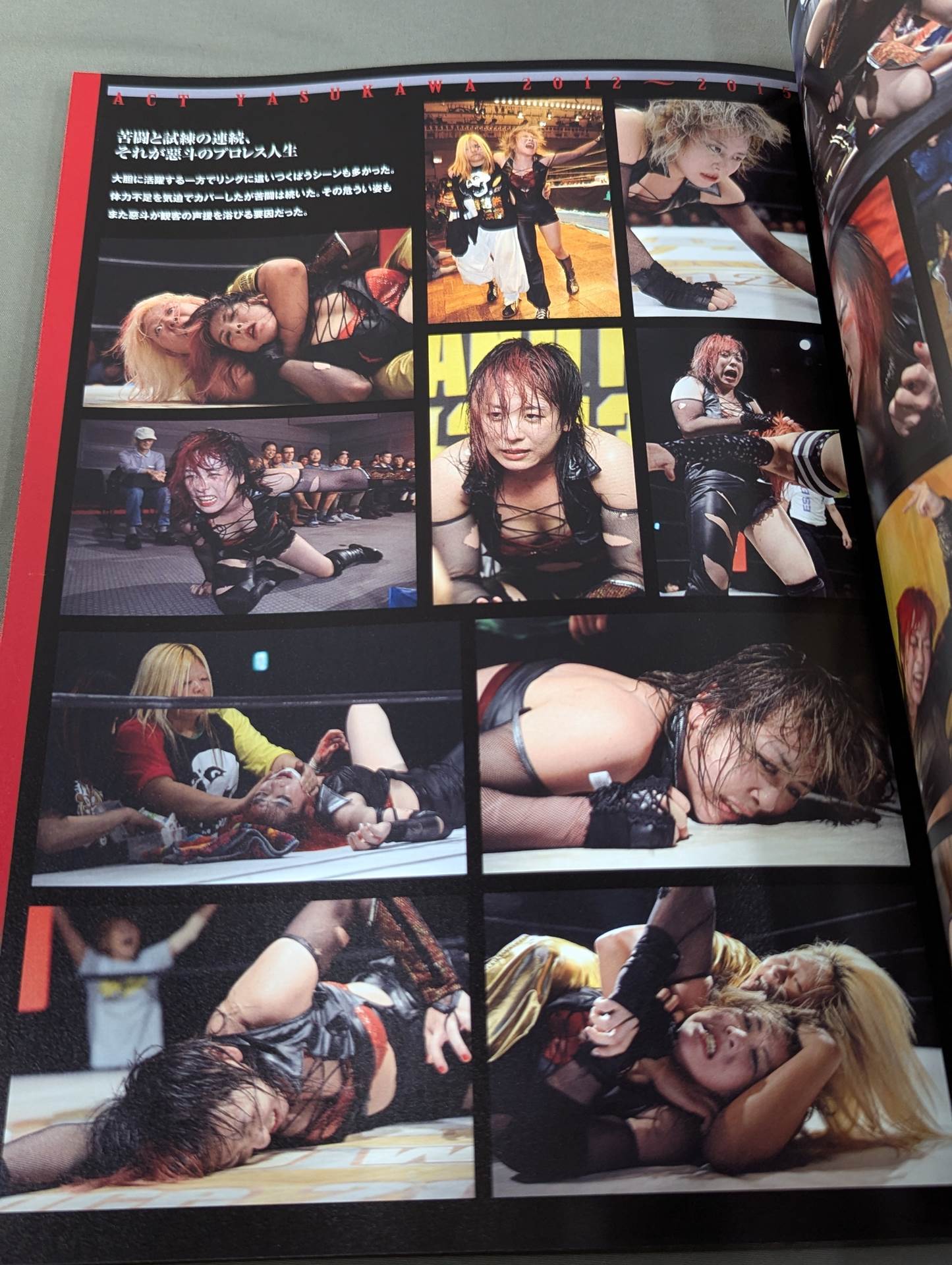 【hand signed autograph】 Akuto Yasukawa Retirement Celebration PHOTO BOOK 惡斗白書
