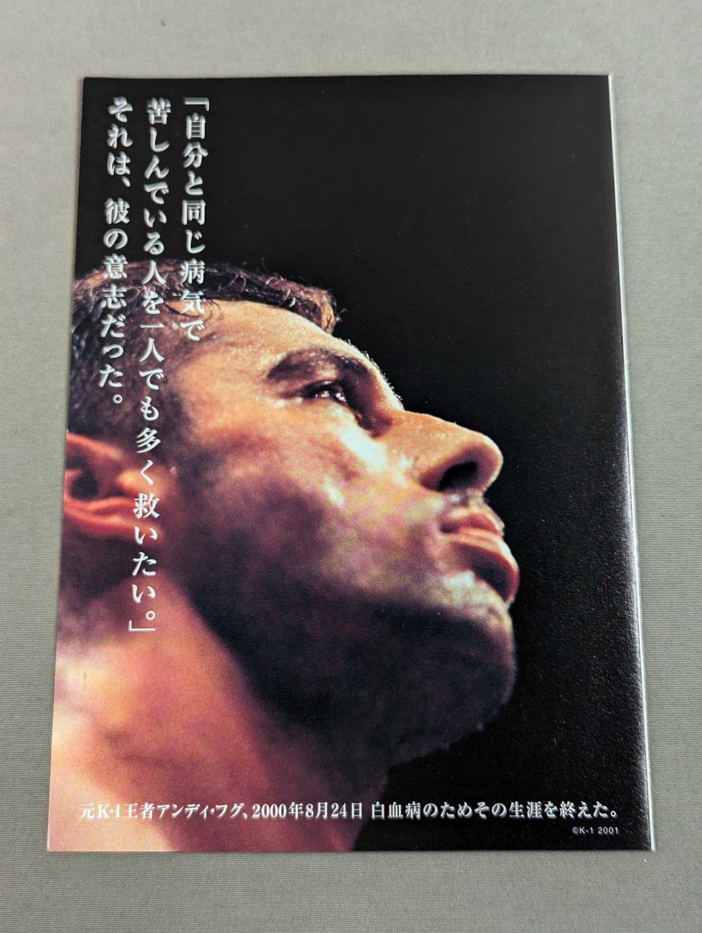 Andy Hug Bone Marrow Donor Registration Awareness Flyer
