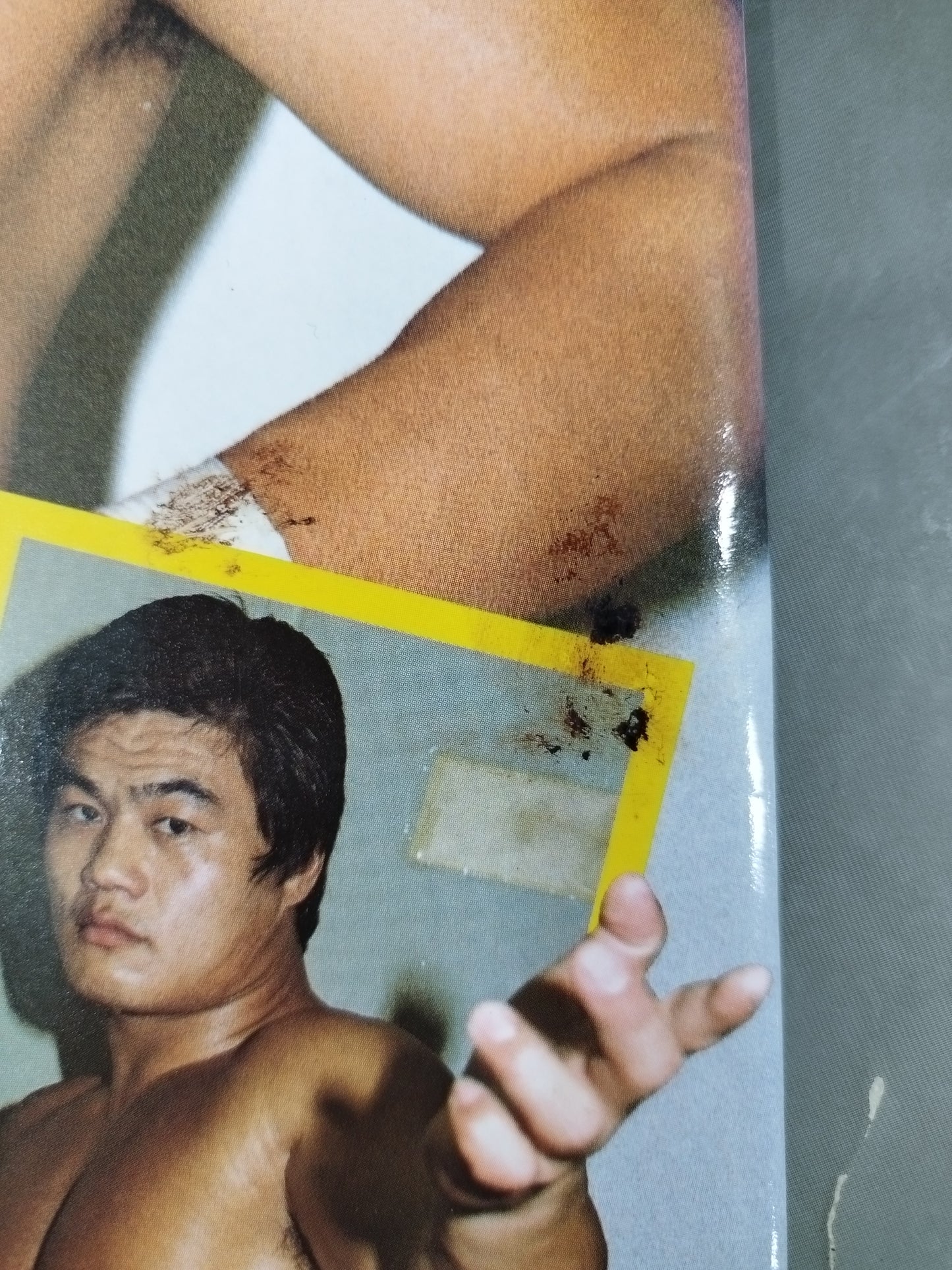 Pro Wrestling Album 31 Tiger Mask and 3 Friendly Moves