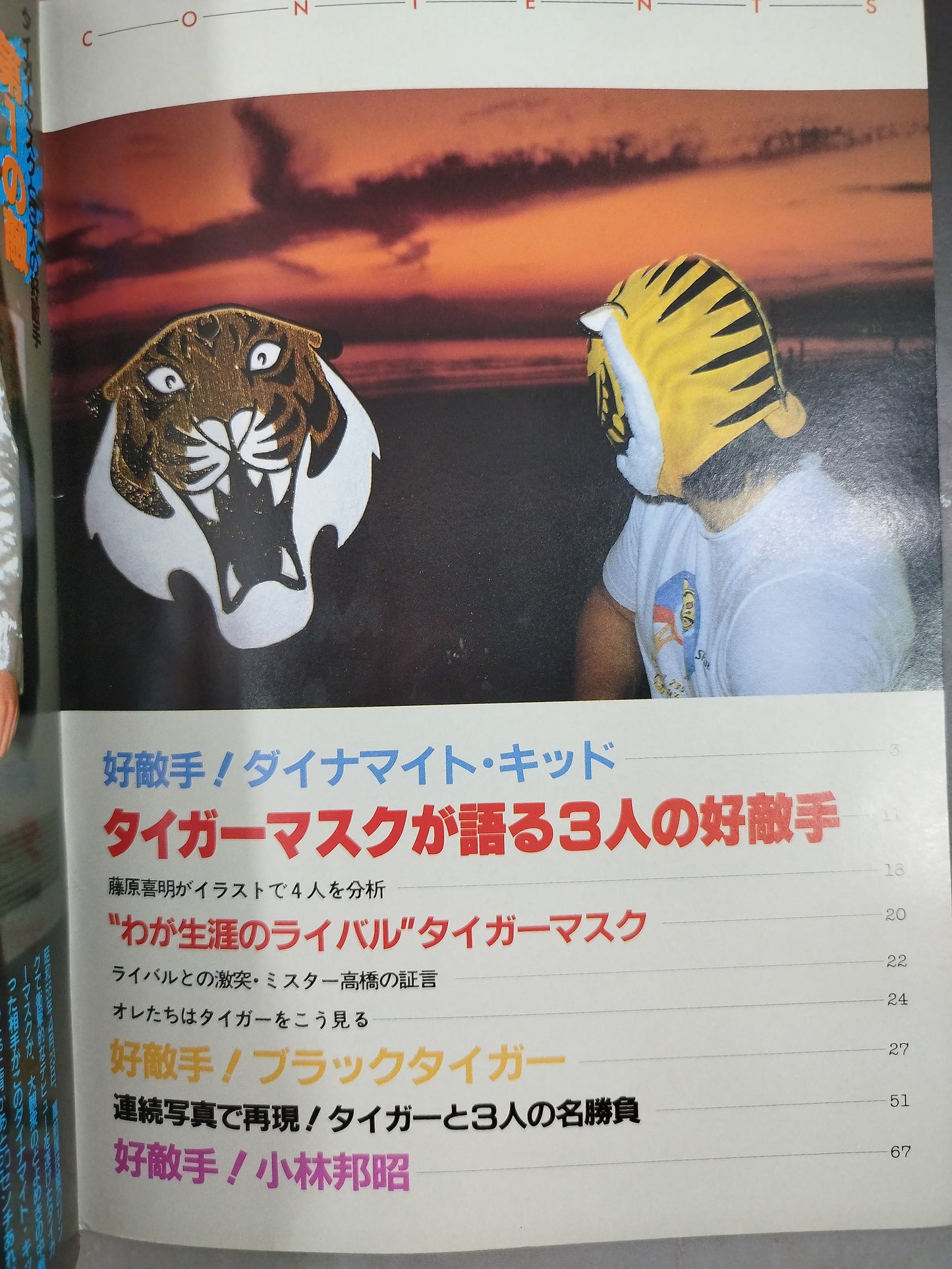 Pro Wrestling Album 31 Tiger Mask and 3 Friendly Moves