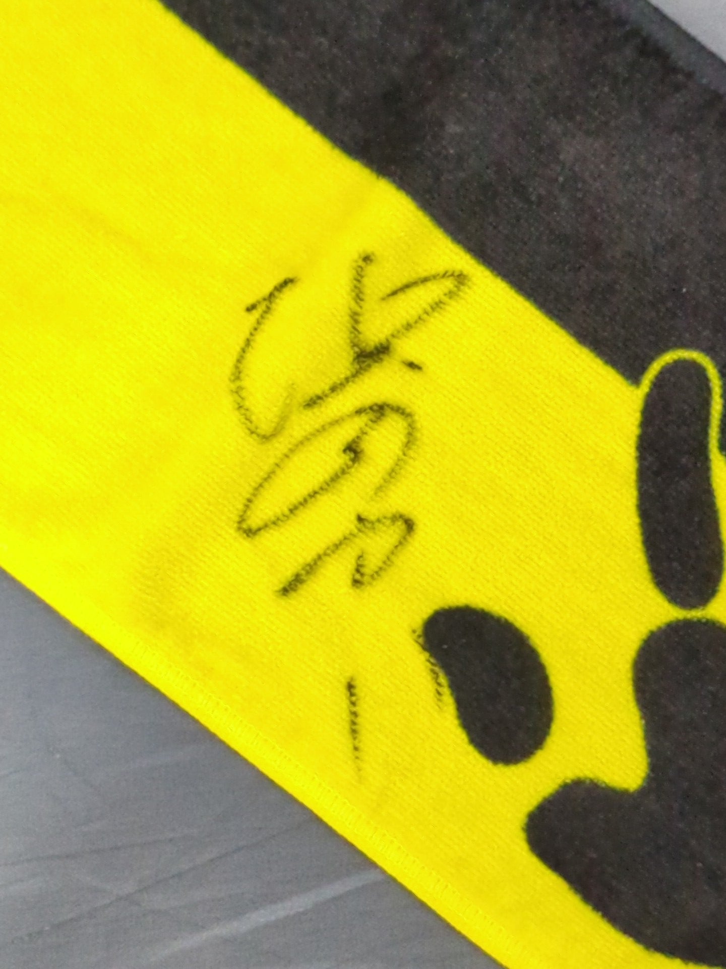 【hand signed autograph】 Ryota Hama BJW HAMA Muffler Towel