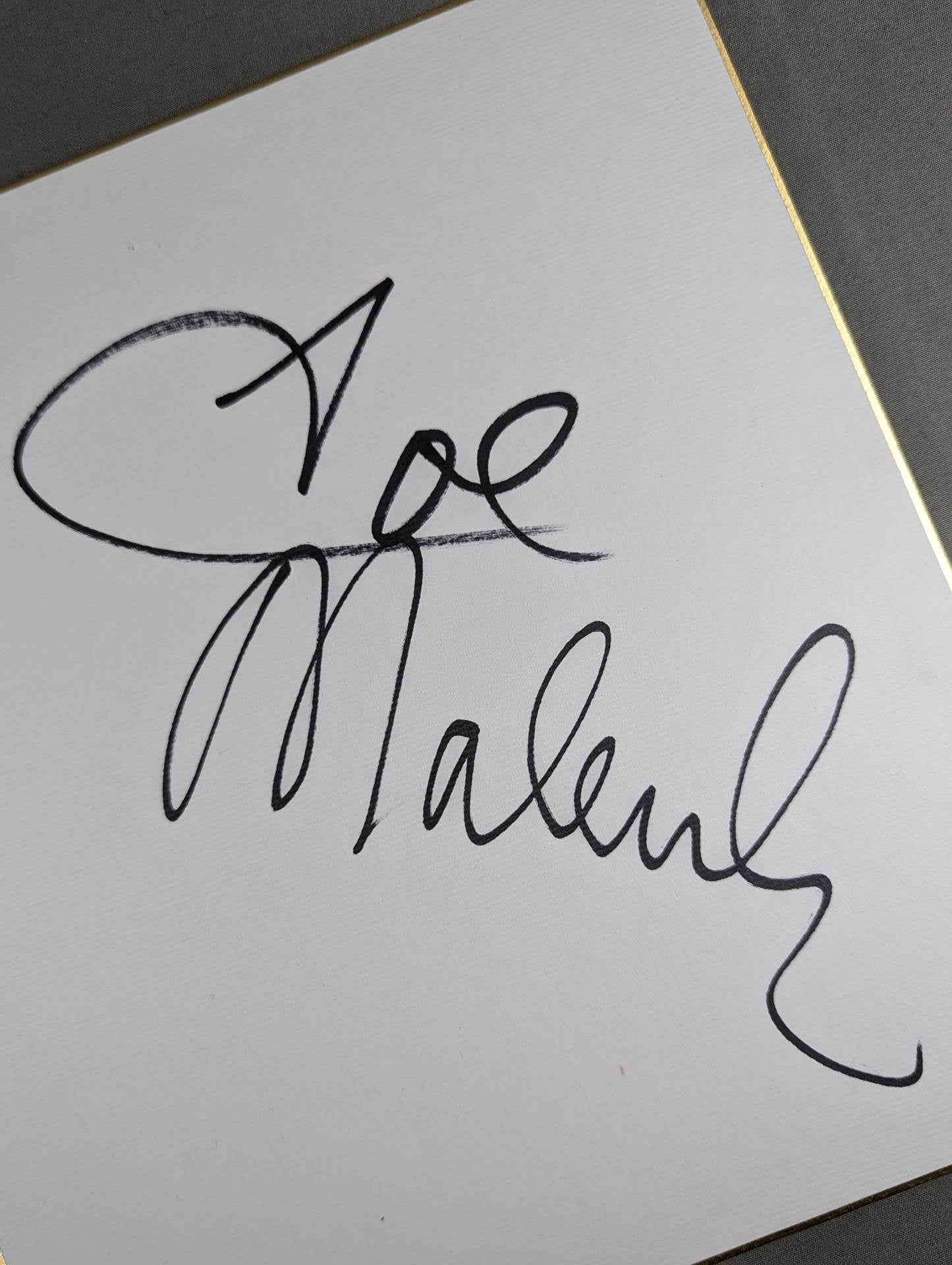 Joe Malenko