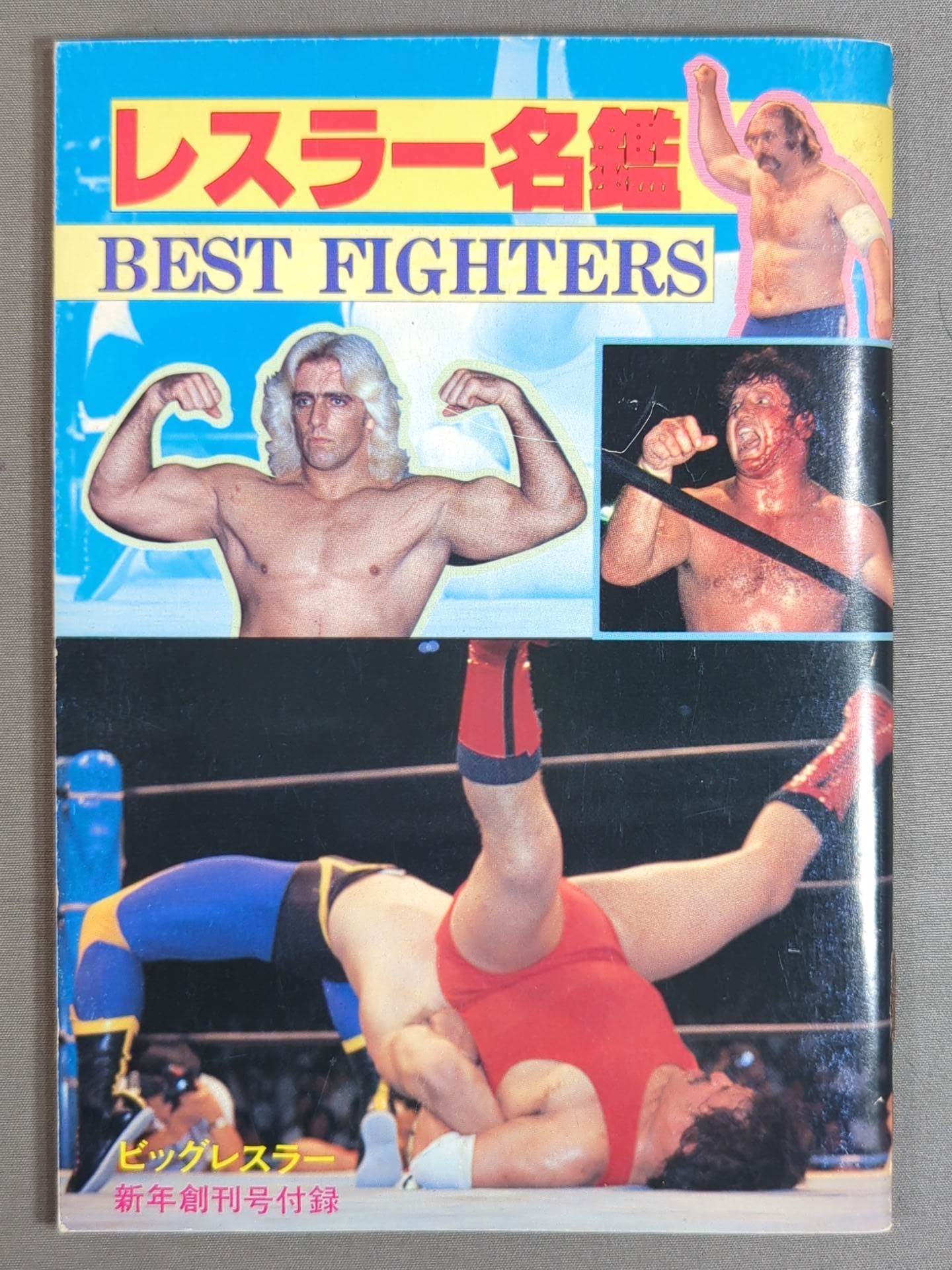 82年版 レスラー名鑑 / BEST FIGHTERS