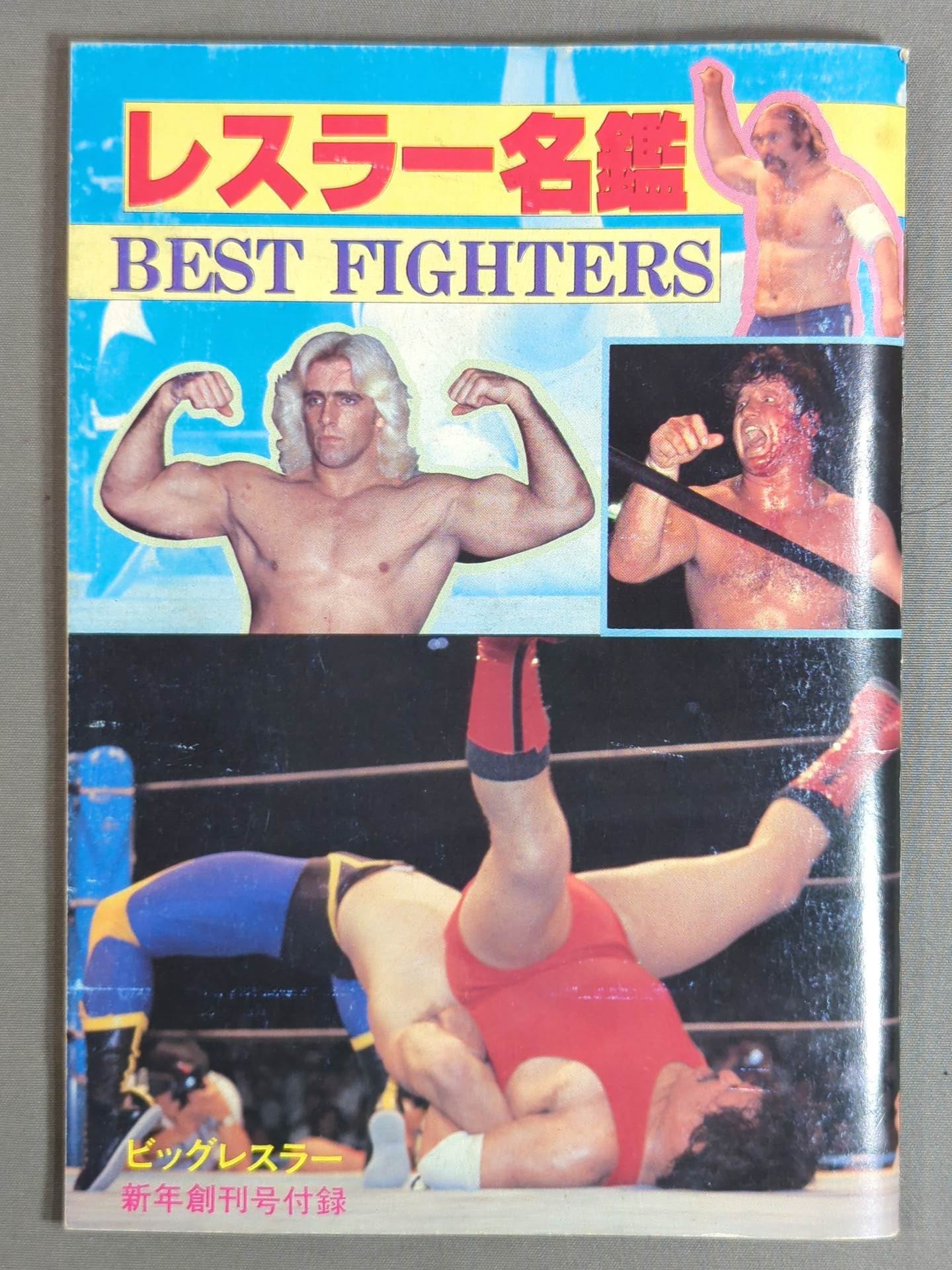 保障できる 82年版 闘道館 – FIGHTERS BEST / レスラー名鑑 趣味・スポーツ・実用
