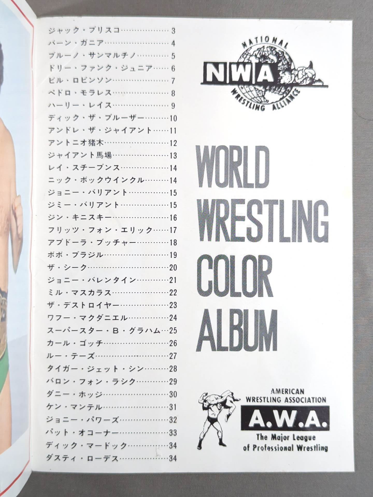 ワールド・wrestling・カラー・アルバム / WORLD Wrestling COLOR ALBUM Gong Supplement 1974.5