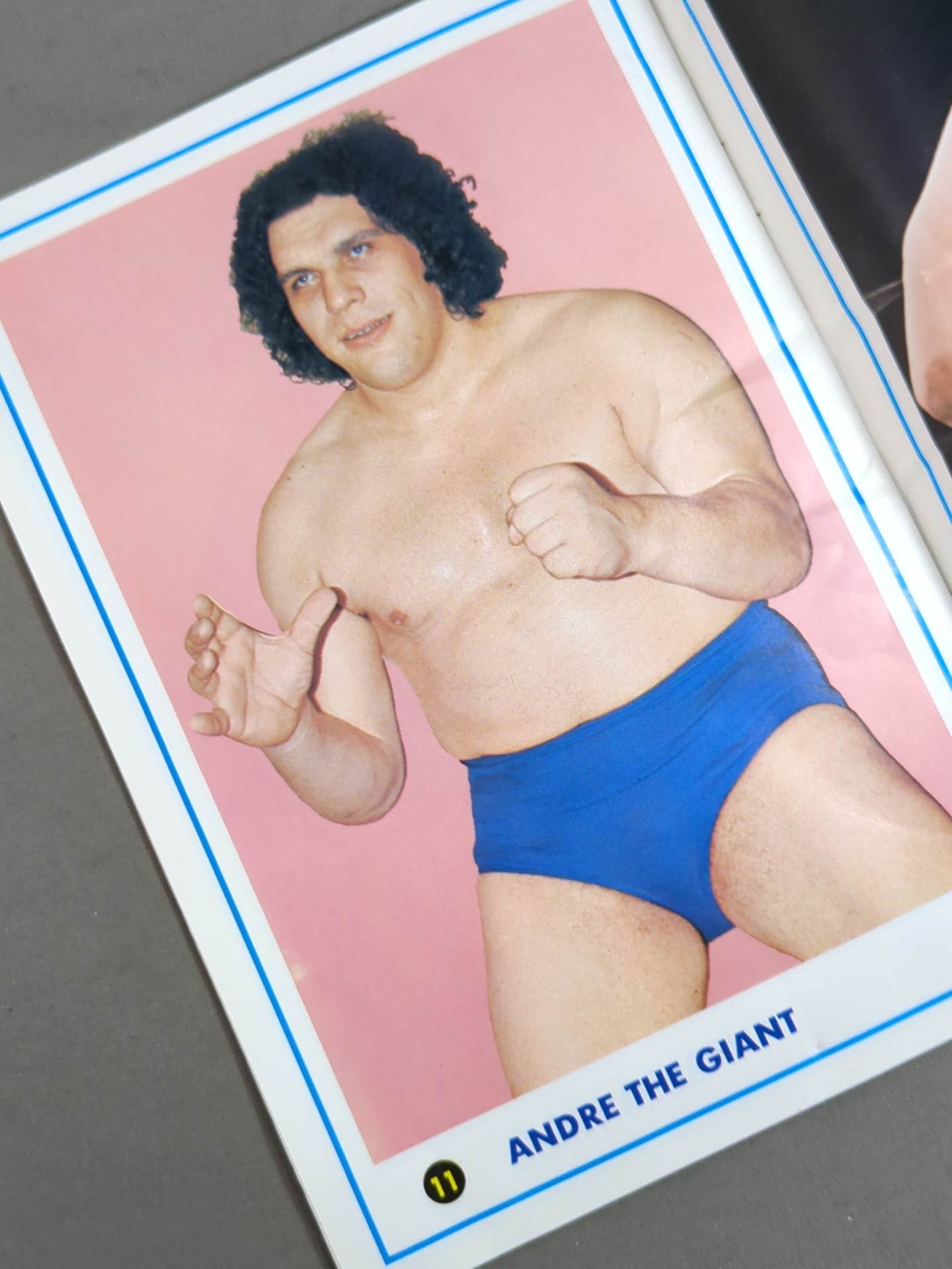 ワールド・wrestling・カラー・アルバム / WORLD Wrestling COLOR ALBUM Gong Supplement 1974.5