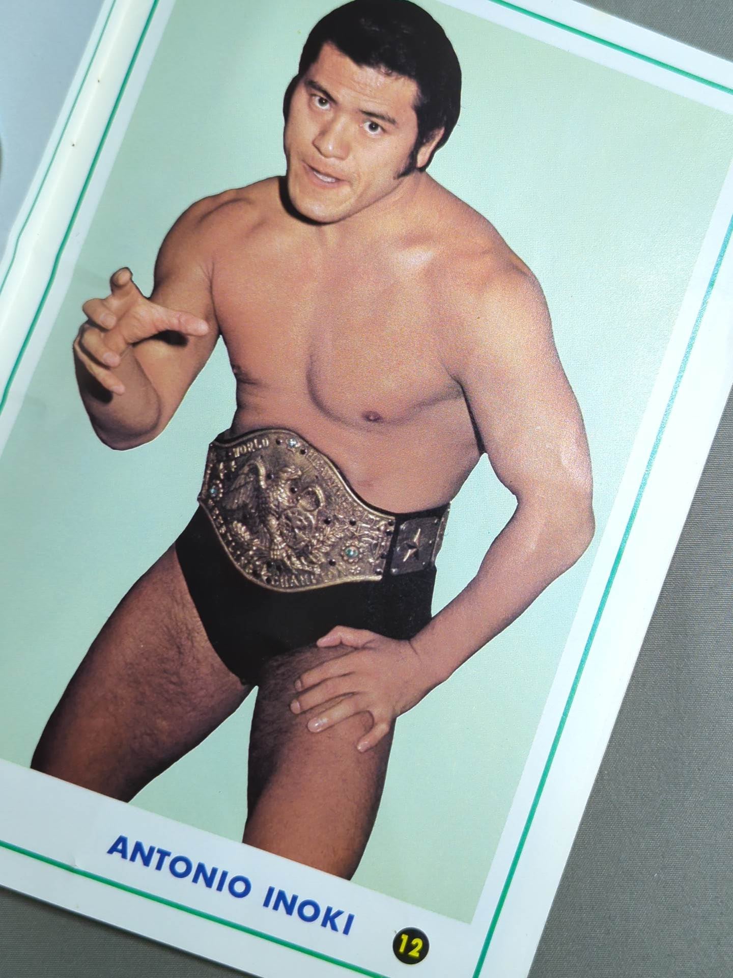 ワールド・wrestling・カラー・アルバム / WORLD Wrestling COLOR ALBUM Gong Supplement 1974.5