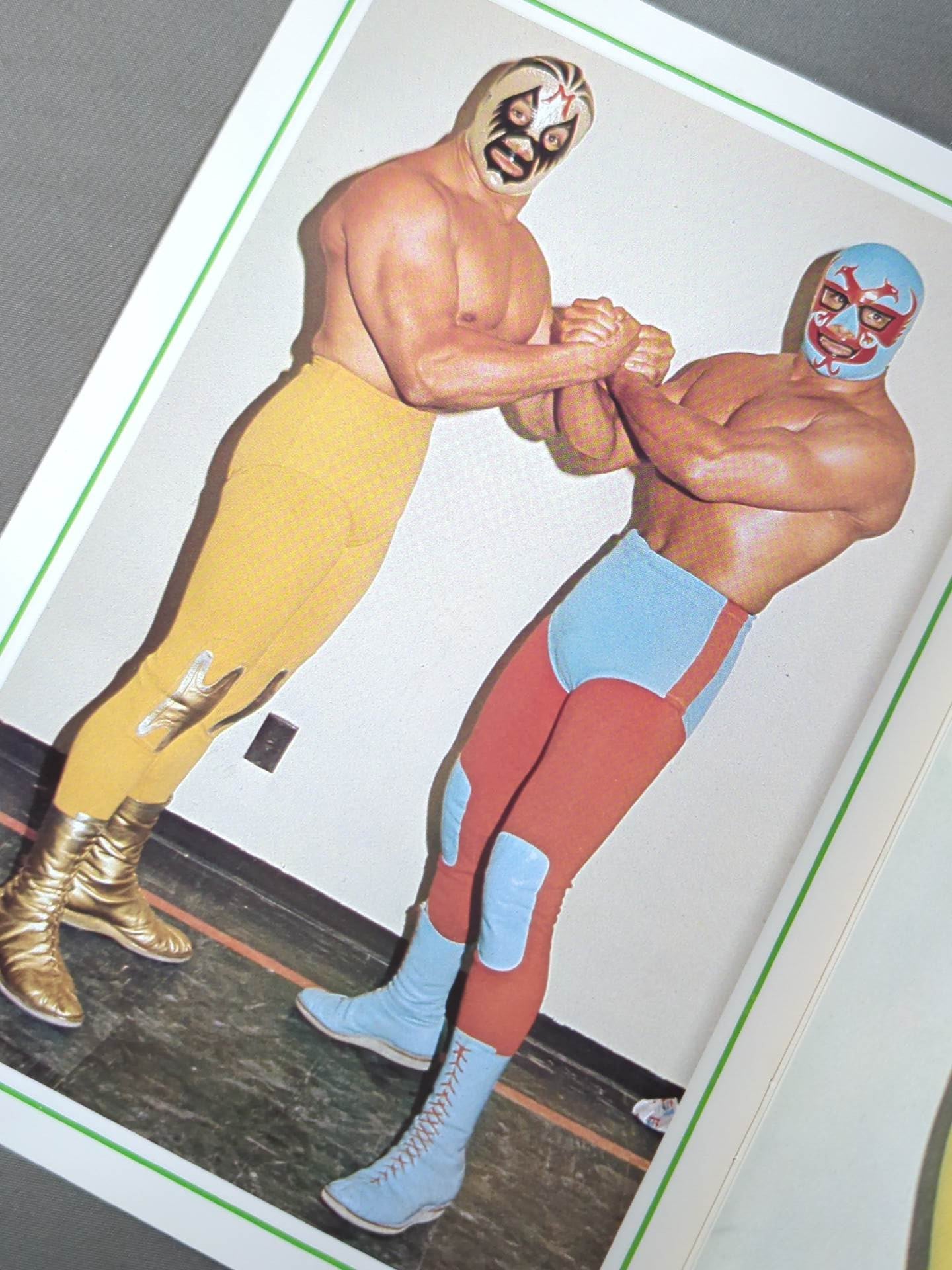 Mil Mascaras Color Album / MIL MASCARAS COLOR ALBUM (Appendix to the September issue of Gong)