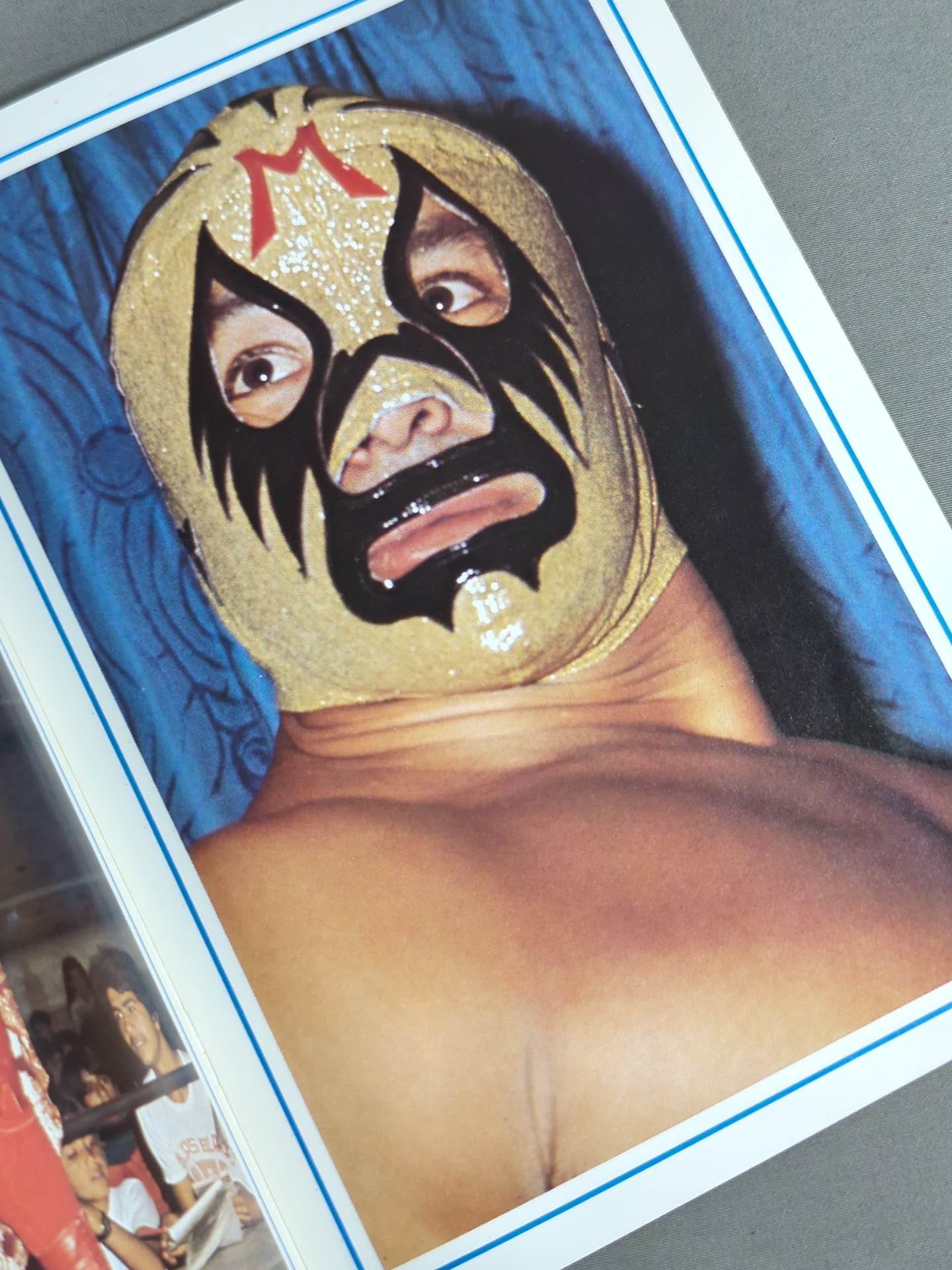 Mil Mascaras Color Album / MIL MASCARAS COLOR ALBUM (Appendix to the September issue of Gong)