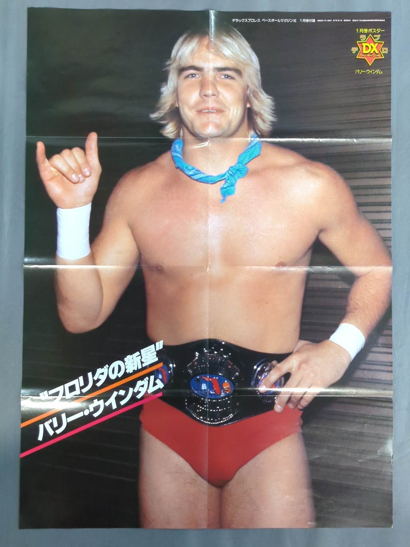 Barry Windham Magazine Appendix Poster