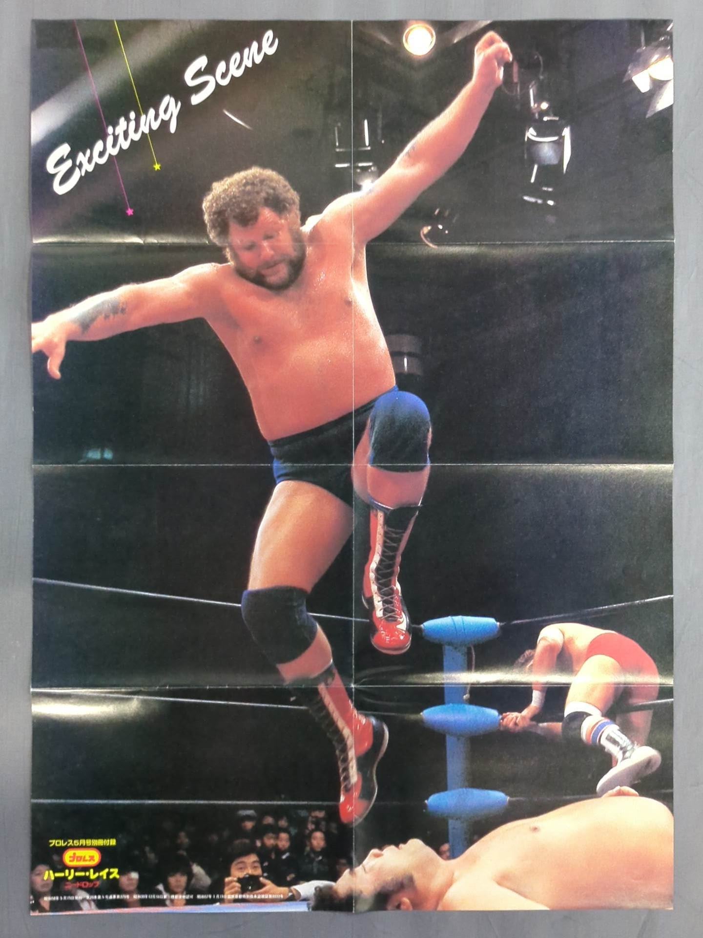 Harley Race Magazine Appendix Poster