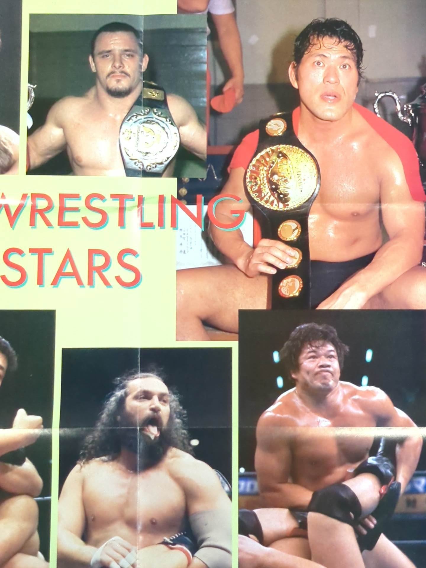 PRO-Wrestling ALL-STARS Magazine Appendix Poster