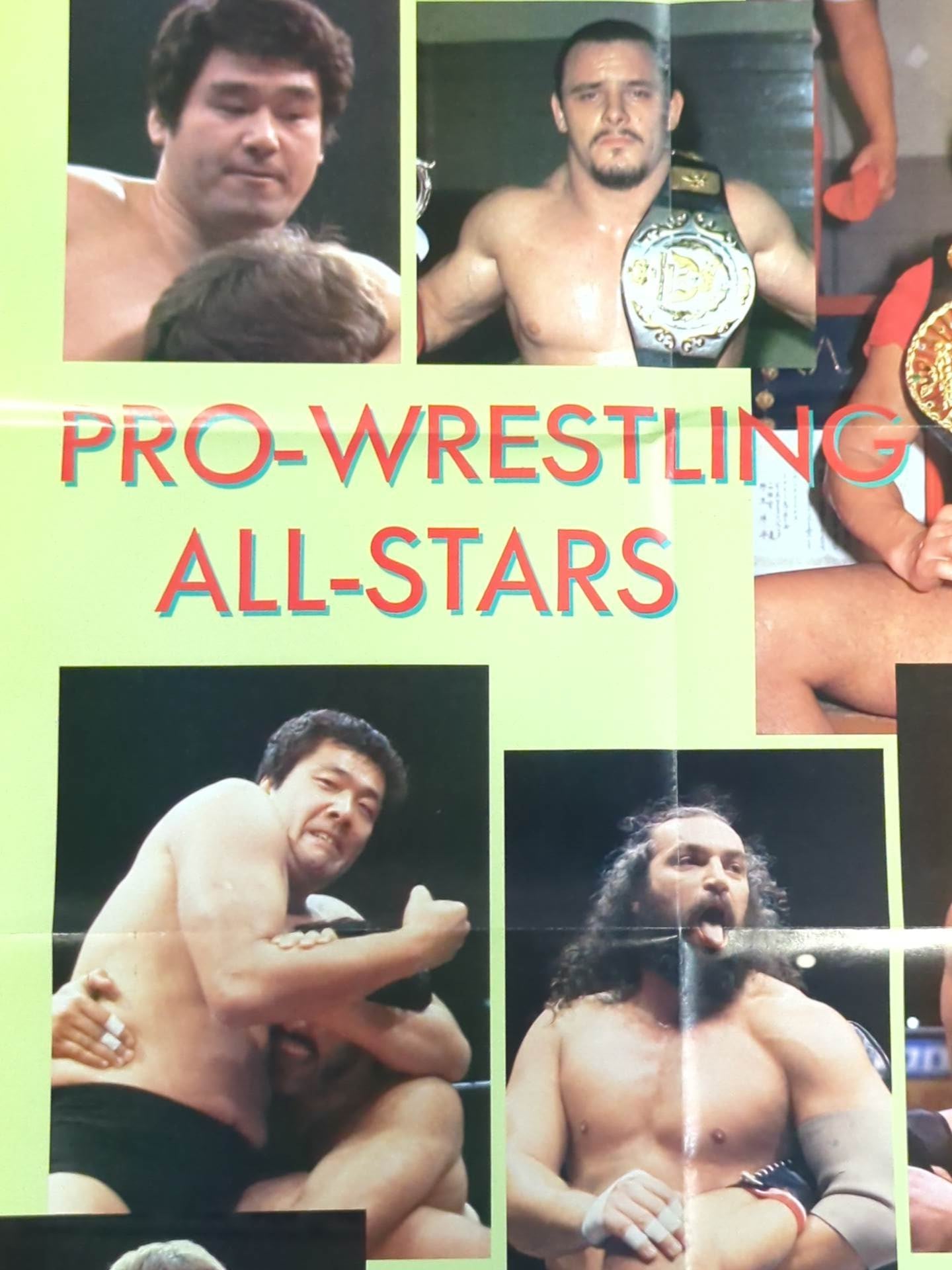PRO-Wrestling ALL-STARS Magazine Appendix Poster