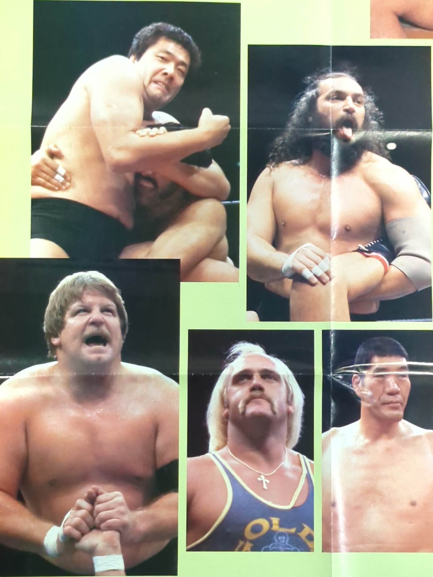 PRO-Wrestling ALL-STARS Magazine Appendix Poster