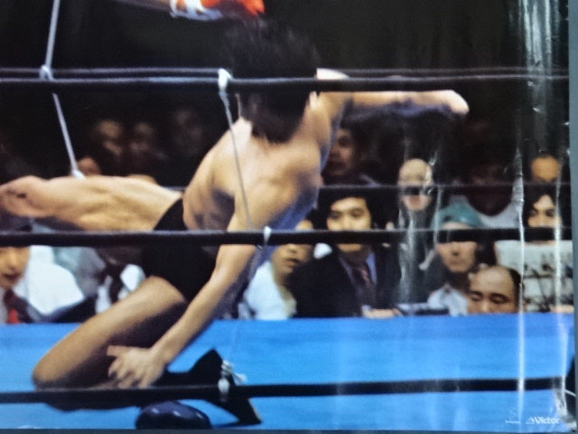 Martial Arts World Championships Antonio Inoki vs Muhammad Ali Large Format Poster