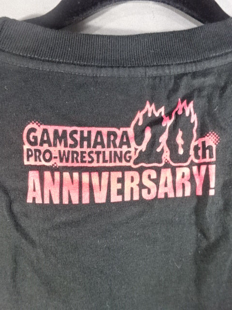 Pro Wrestling 20th Anniversary T-Shirt