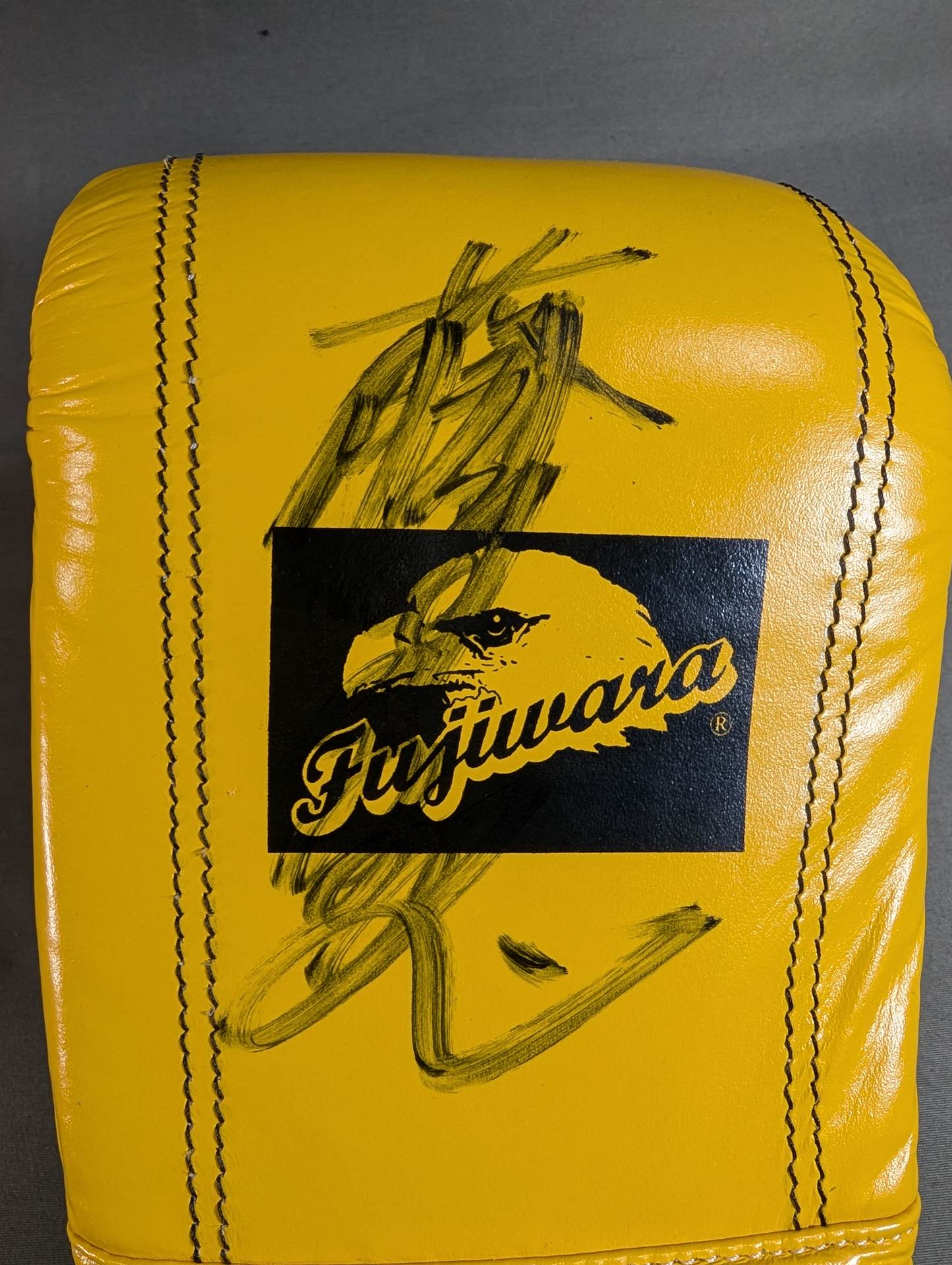 [2 fighters hand signed autograph TWINS Punching Gloves