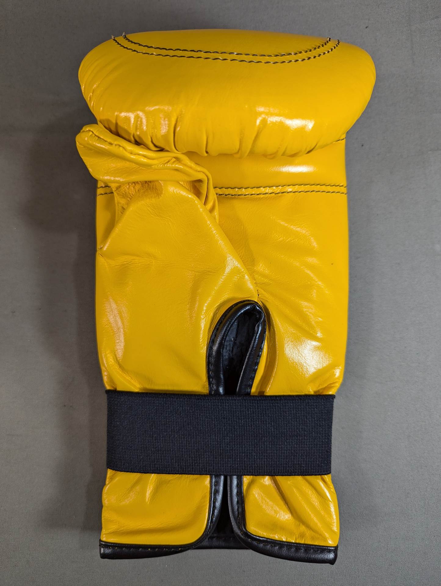 [2 fighters hand signed autograph TWINS Punching Gloves