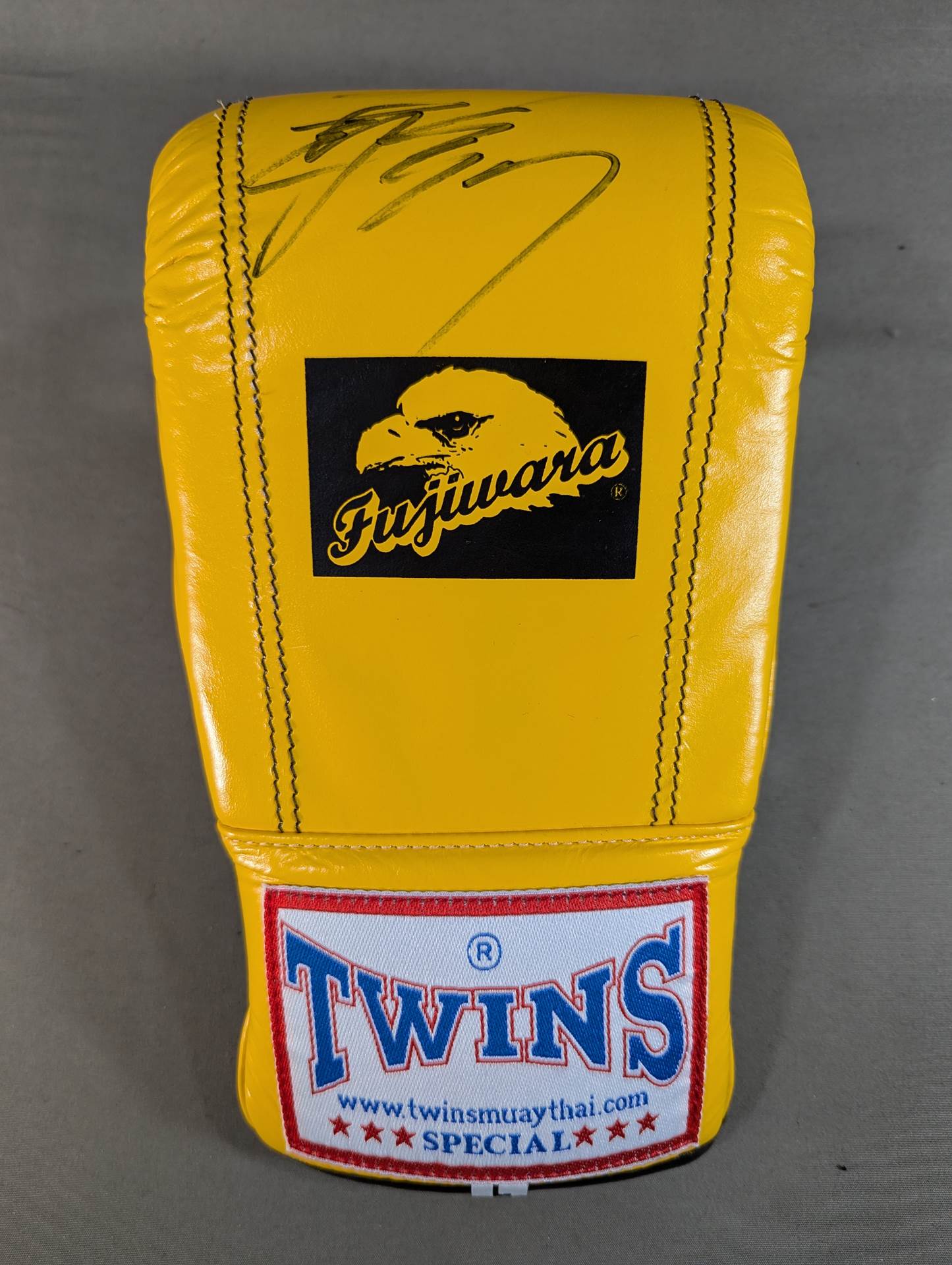 [2 fighters hand signed autograph TWINS Punching Gloves