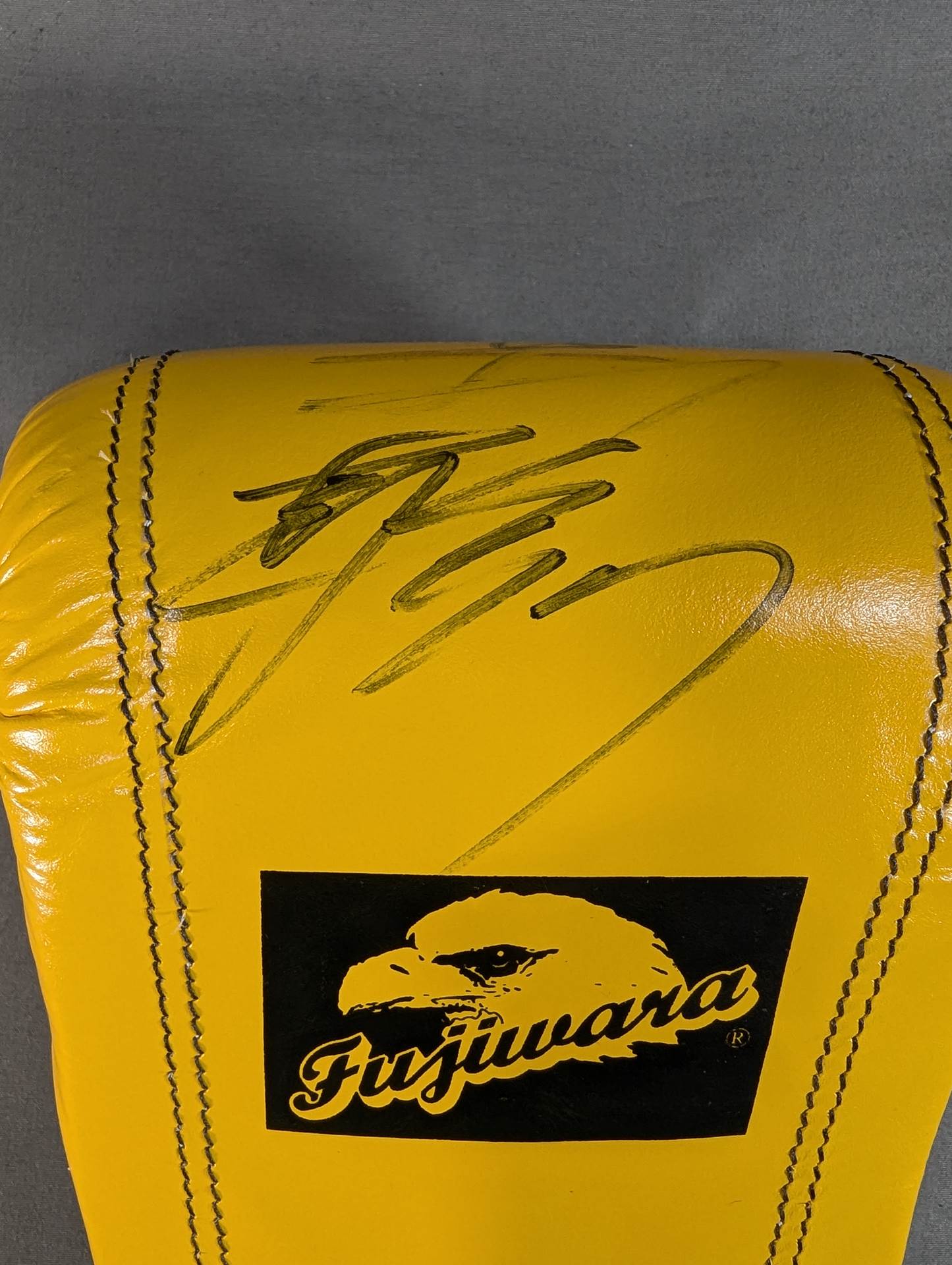[2 fighters hand signed autograph TWINS Punching Gloves