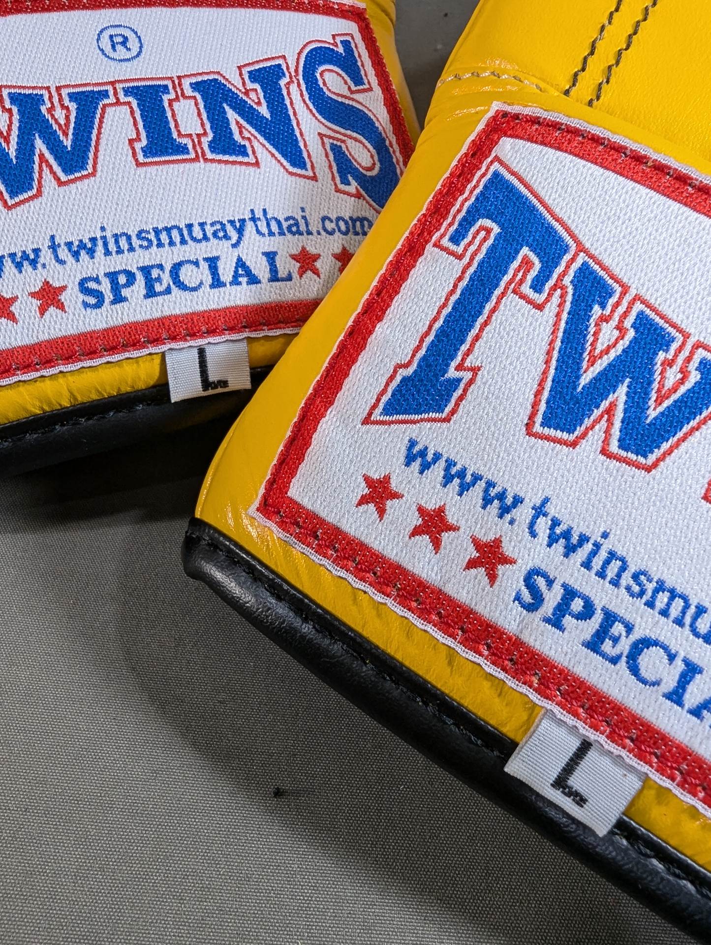[2 fighters hand signed autograph TWINS Punching Gloves