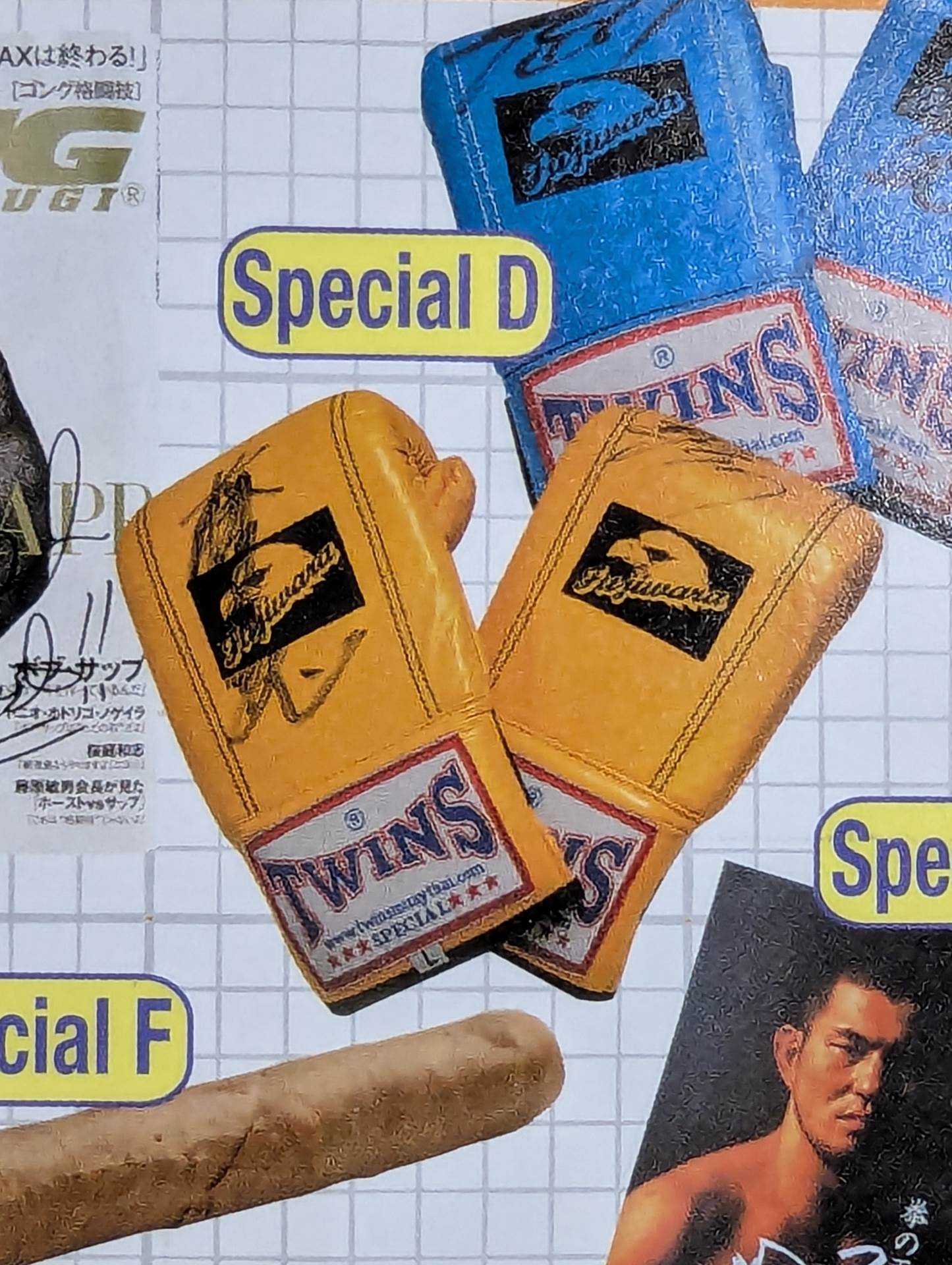 [2 fighters hand signed autograph TWINS Punching Gloves