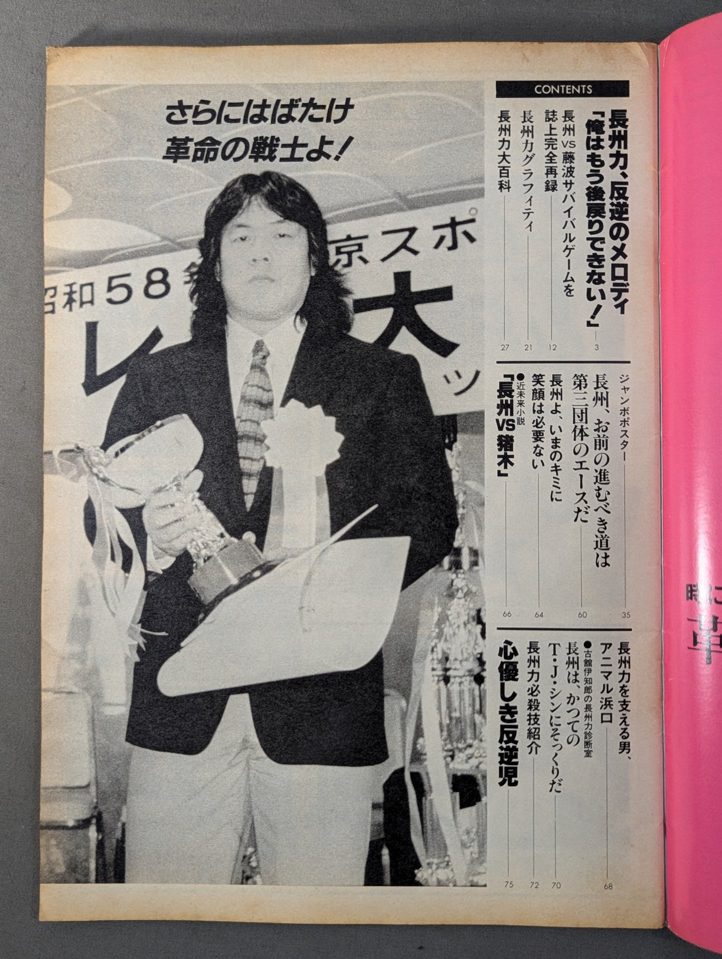 プロレスアルバム42 長州力<維新への道>