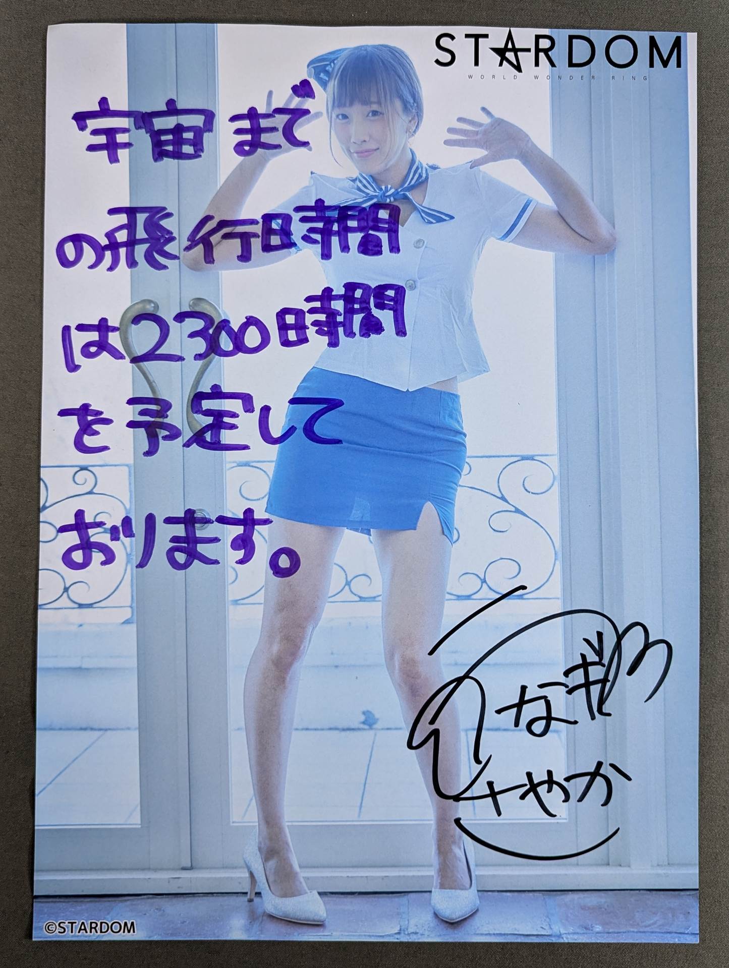 ウナギサヤカ　ポートレート 受注生産】ポートレート270から282 | ウナギ・サヤカ屋さん